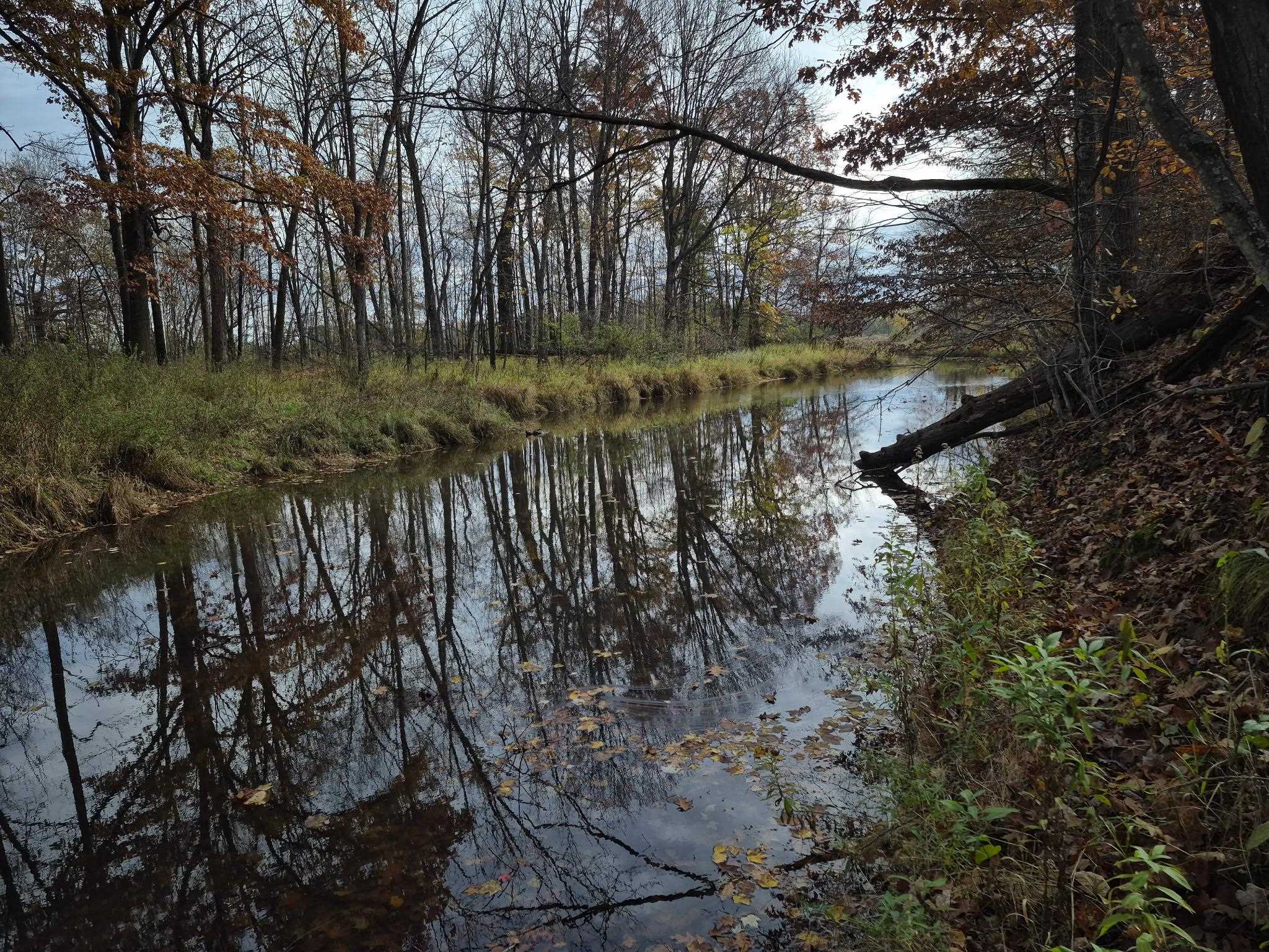 5106 ARPIN HANSEN ROAD, Arpin, Wisconsin 54410, 3 Bedrooms Bedrooms, ,2 BathroomsBathrooms,Residential,For Sale,5106 ARPIN HANSEN ROAD,22600133