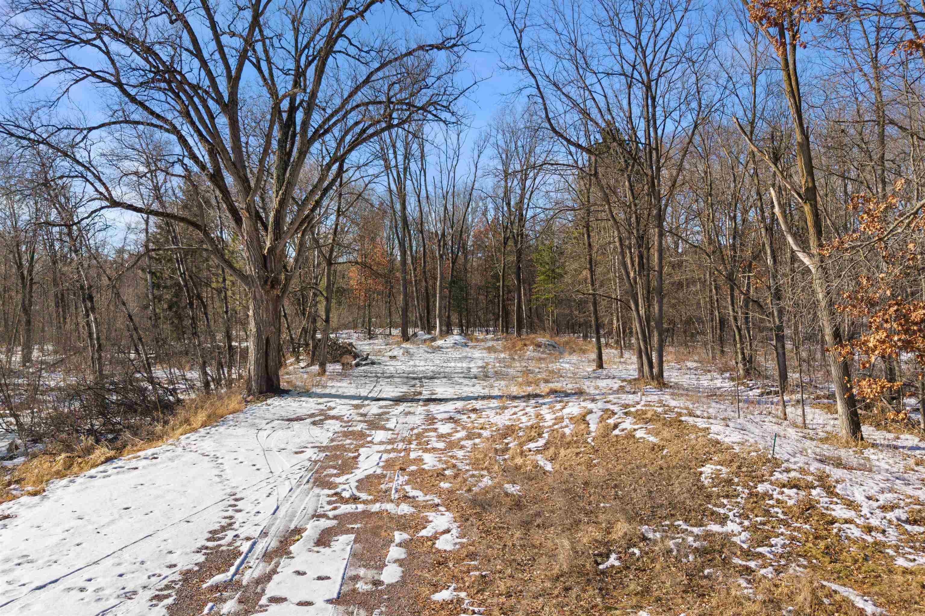 10164 COUNTY ROAD Z, Nekoosa, Wisconsin 54457, 1 Bedroom Bedrooms, ,1 BathroomBathrooms,Residential,For Sale,10164 COUNTY ROAD Z,22600157