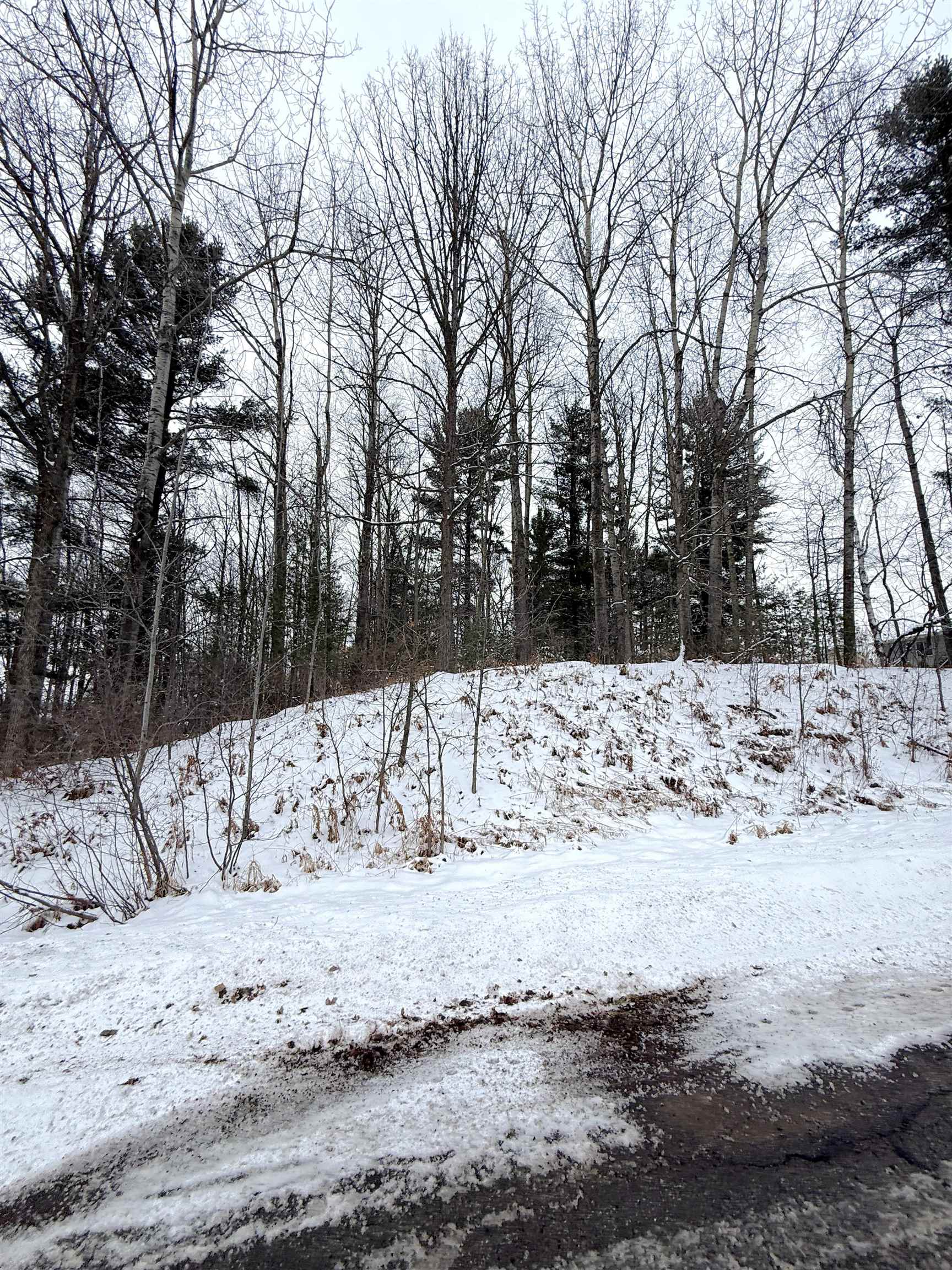 Lot 2 HIGHLAND DRIVE, Wausau, Wisconsin 54401, ,Land,For Sale,Lot 2 HIGHLAND DRIVE,22600191