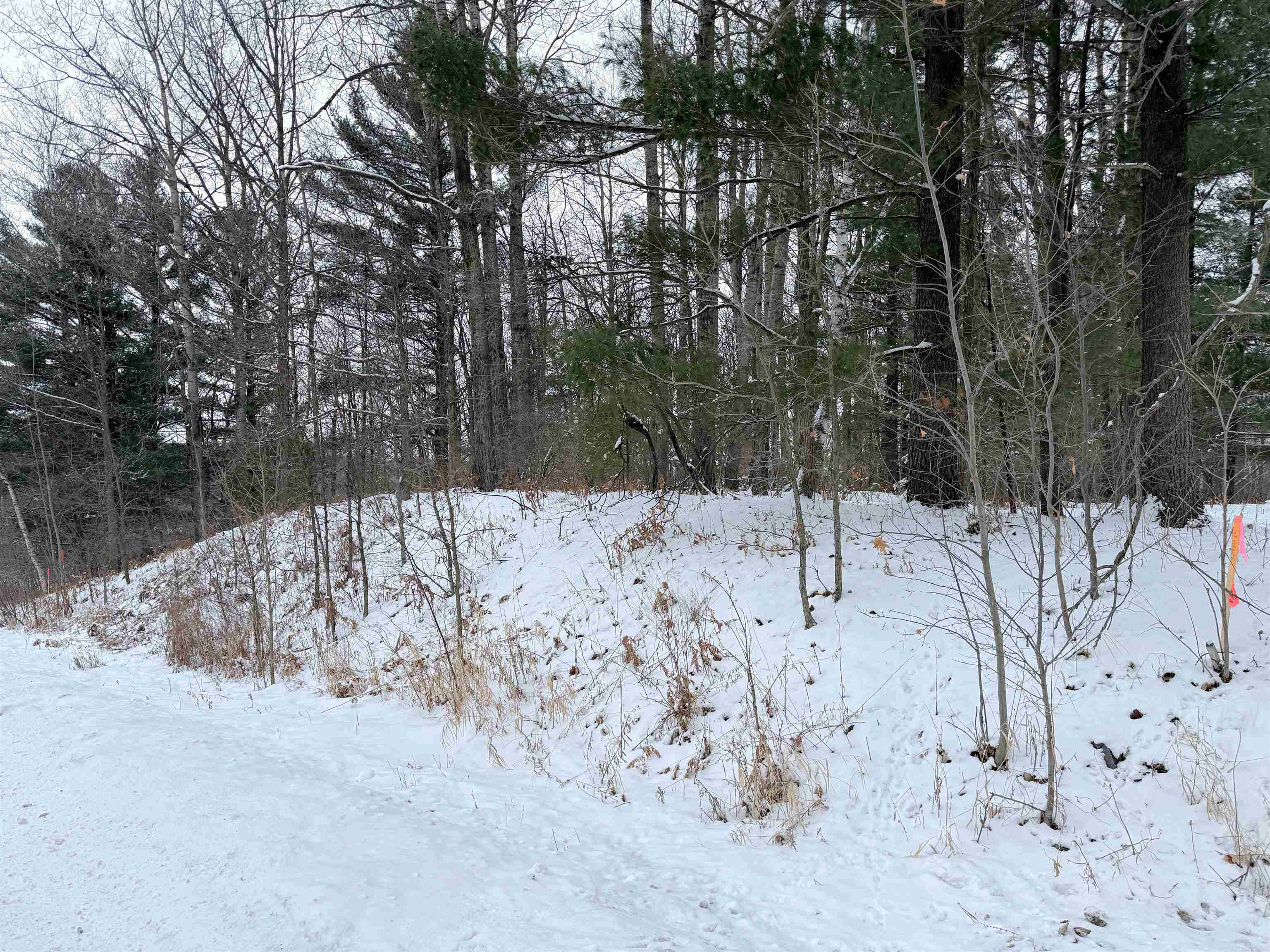 Lot 2 HIGHLAND DRIVE, Wausau, Wisconsin 54401, ,Land,For Sale,Lot 2 HIGHLAND DRIVE,22600191