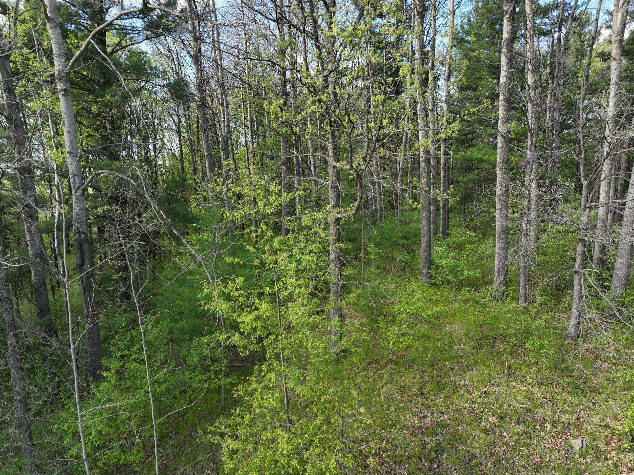 Lot 2 HIGHLAND DRIVE, Wausau, Wisconsin 54401, ,Land,For Sale,Lot 2 HIGHLAND DRIVE,22600191