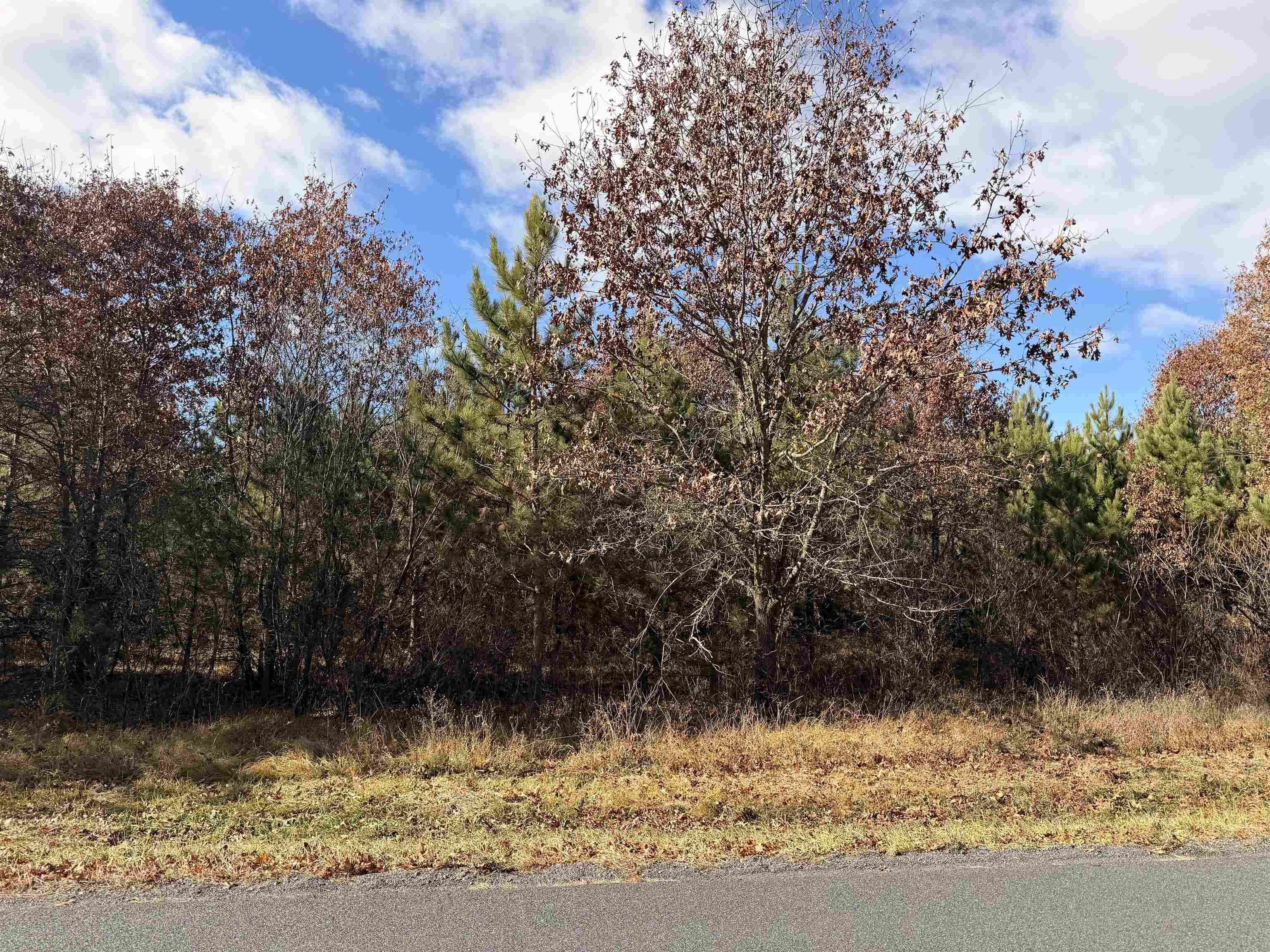 Lot 1 BELL ROAD, Wisconsin Rapids, Wisconsin 54494, ,Land,For Sale,Lot 1 BELL ROAD,22600202