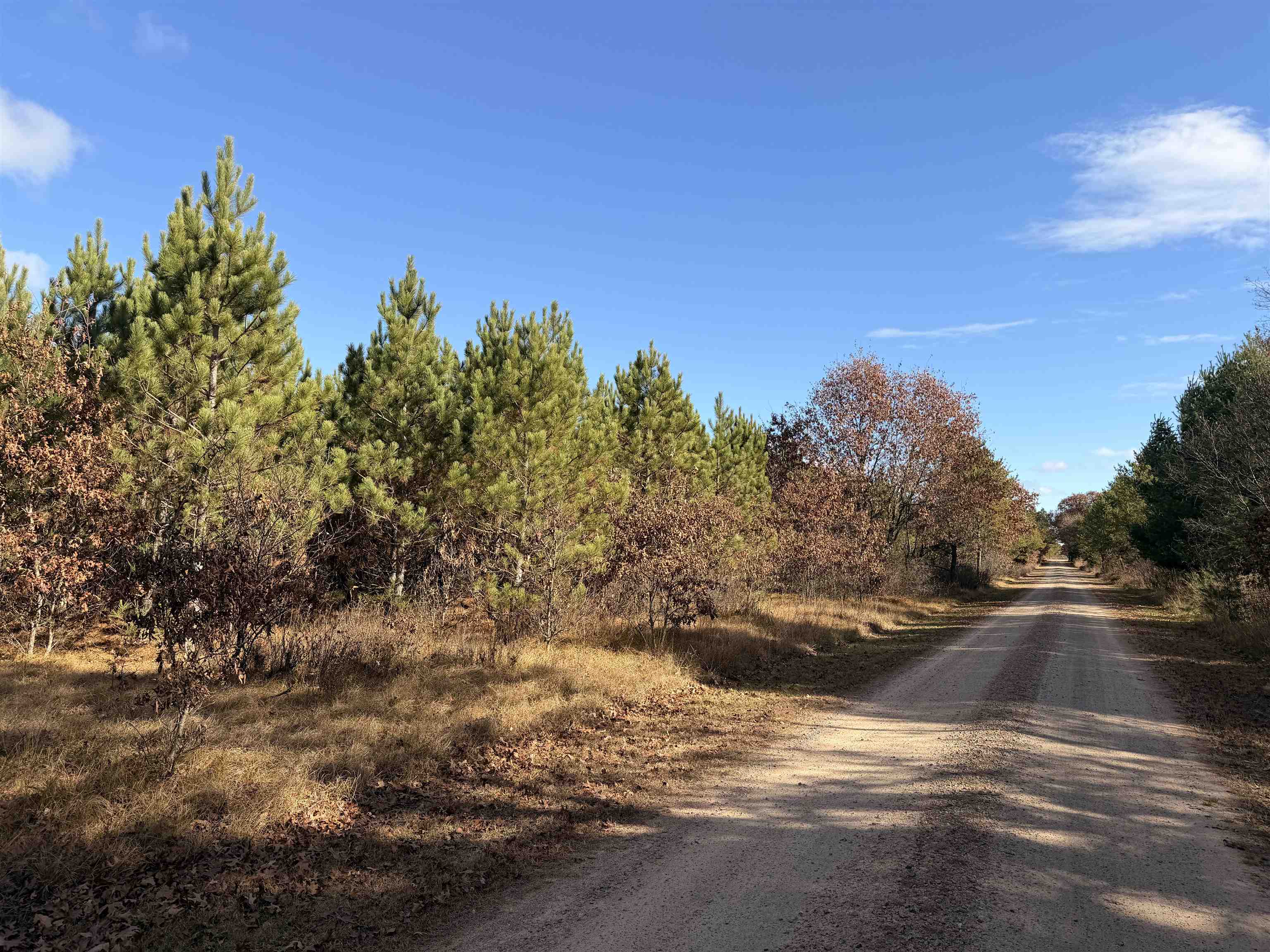 Lot 1 BELL ROAD, Wisconsin Rapids, Wisconsin 54494, ,Land,For Sale,Lot 1 BELL ROAD,22600202