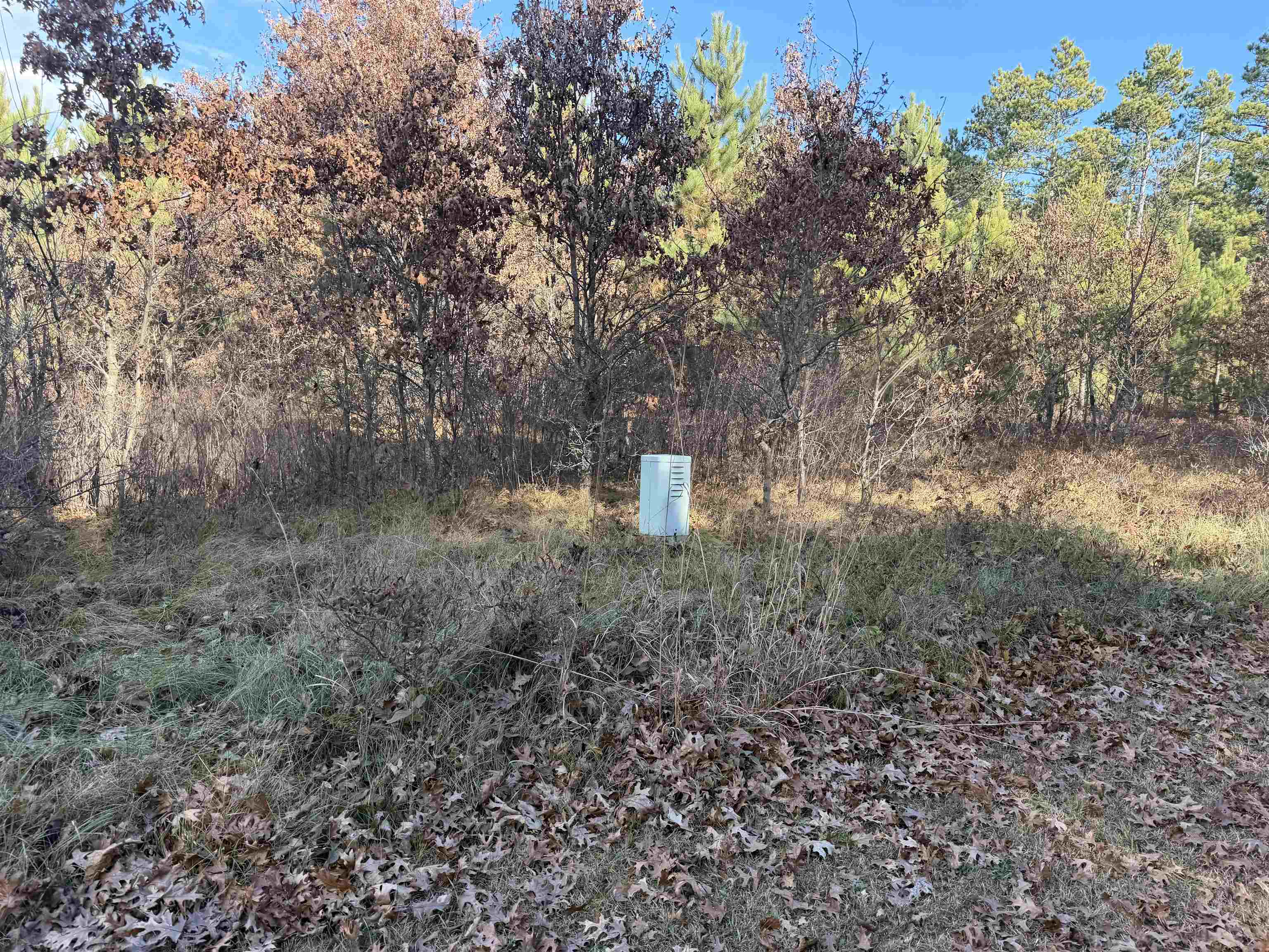 Lot 3 BELL ROAD, Wisconsin Rapids, Wisconsin 54494, ,Land,For Sale,Lot 3 BELL ROAD,22600205