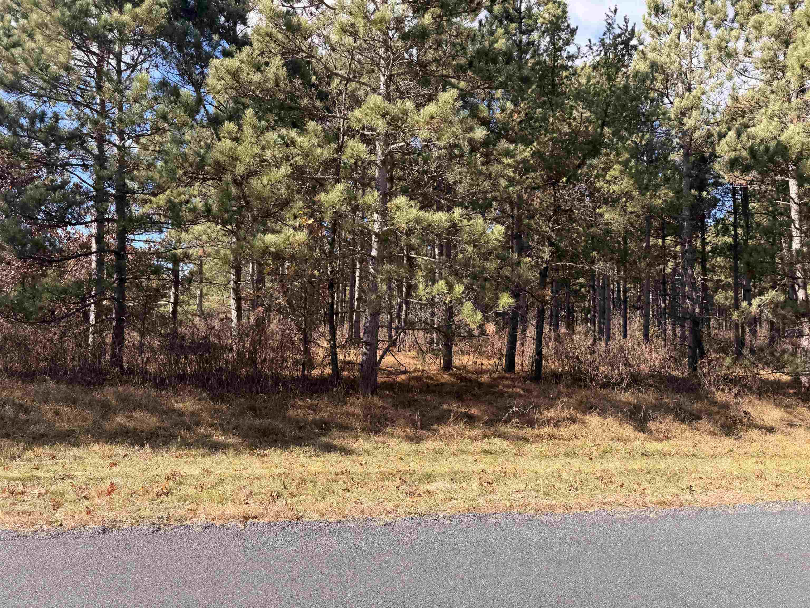 Lot 4 BELL ROAD, Wisconsin Rapids, Wisconsin 54494, ,Land,For Sale,Lot 4 BELL ROAD,22600206