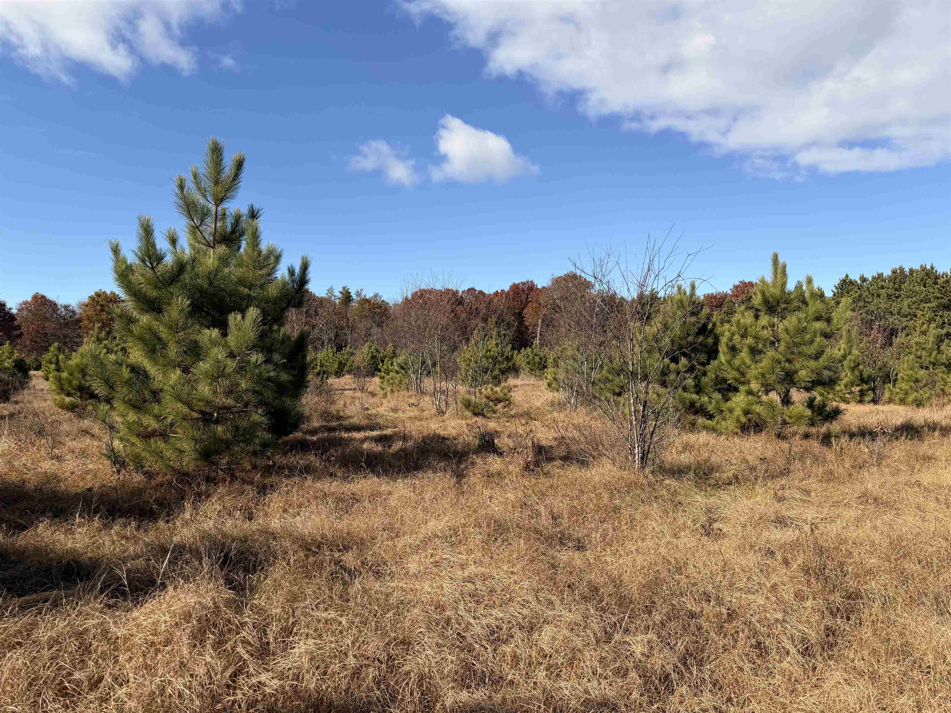 Lot 4 BELL ROAD, Wisconsin Rapids, Wisconsin 54494, ,Land,For Sale,Lot 4 BELL ROAD,22600206