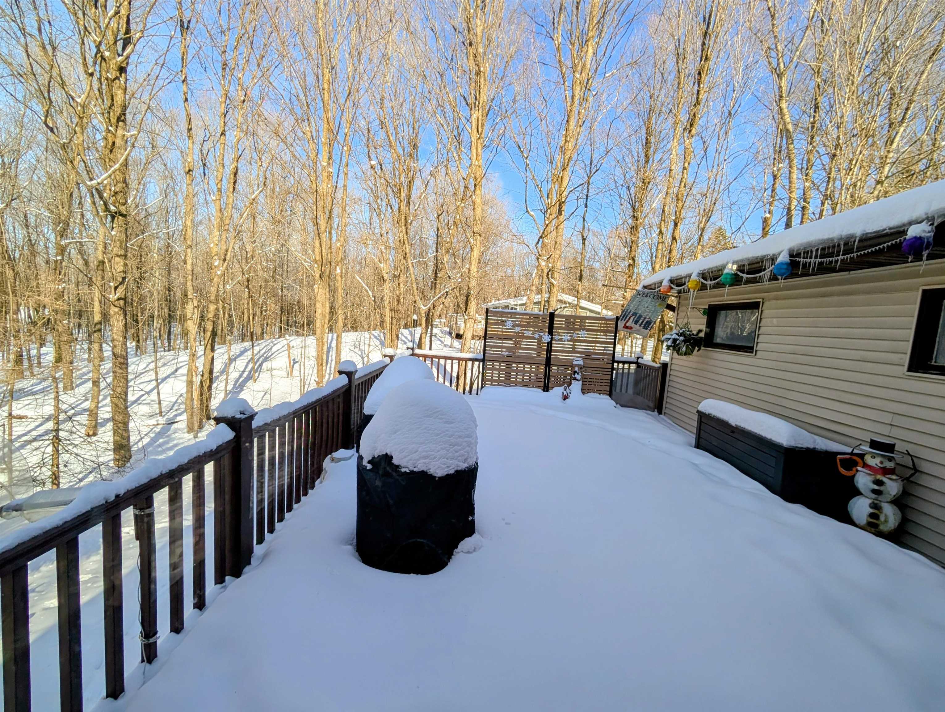 N8307 BIRCH HILL ROAD, Phillips, Wisconsin 54555, 4 Bedrooms Bedrooms, ,2 BathroomsBathrooms,Residential,For Sale,N8307 BIRCH HILL ROAD,22600216