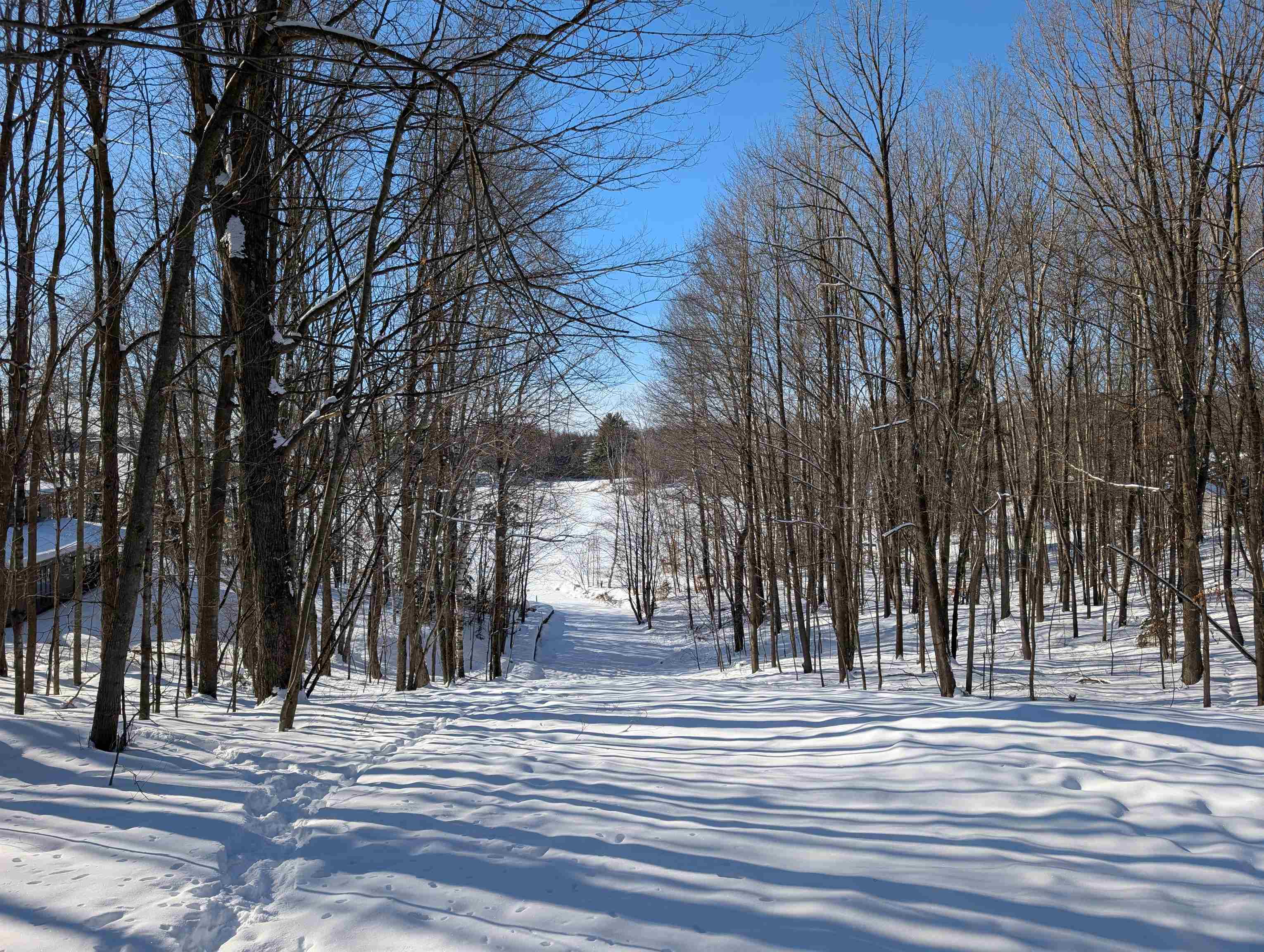 N8307 BIRCH HILL ROAD, Phillips, Wisconsin 54555, 4 Bedrooms Bedrooms, ,2 BathroomsBathrooms,Residential,For Sale,N8307 BIRCH HILL ROAD,22600216