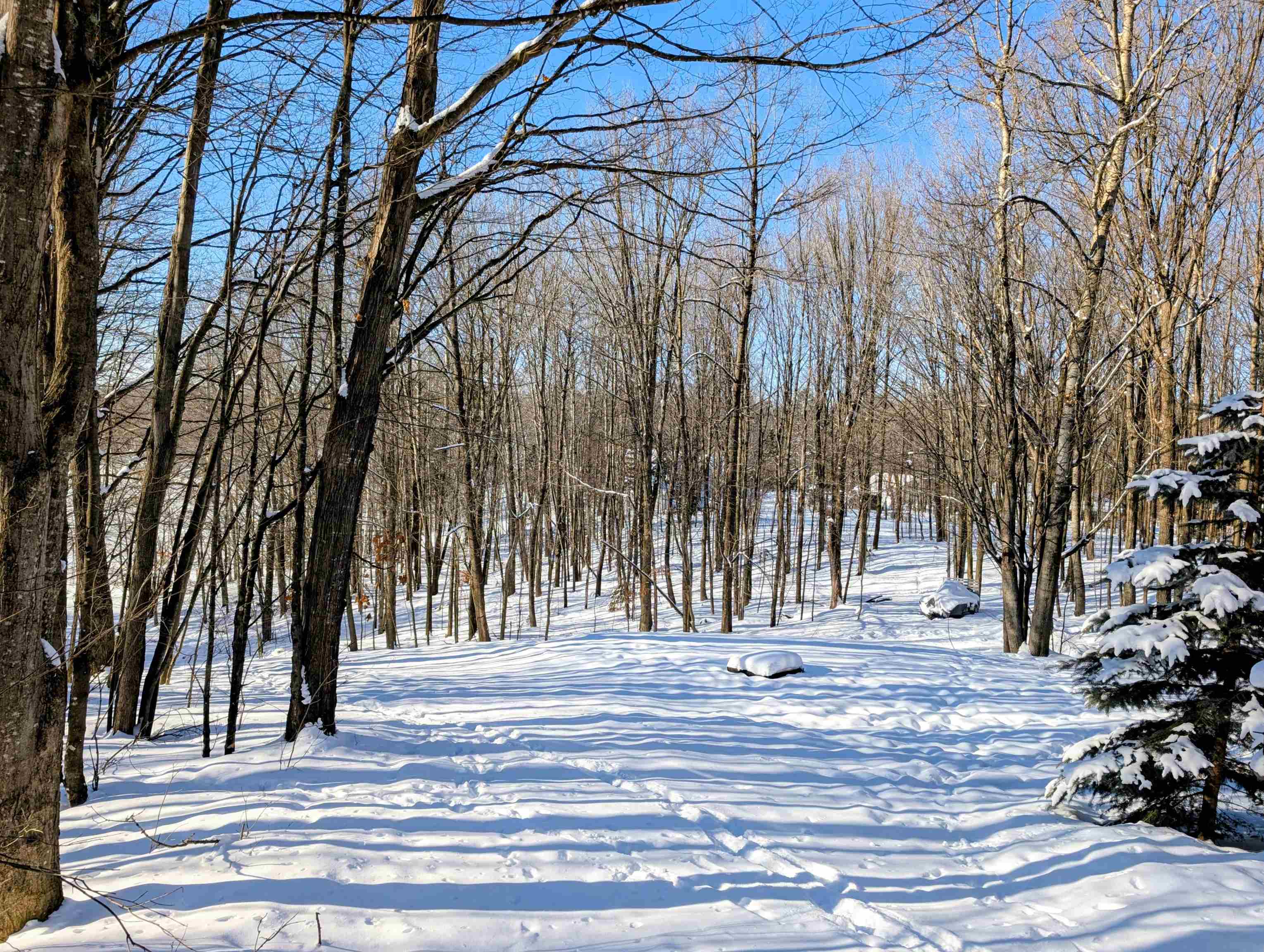 N8307 BIRCH HILL ROAD, Phillips, Wisconsin 54555, 4 Bedrooms Bedrooms, ,2 BathroomsBathrooms,Residential,For Sale,N8307 BIRCH HILL ROAD,22600216