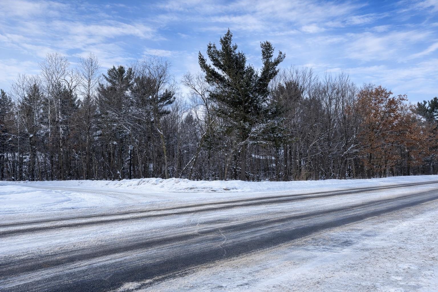 99 RIVER RIDGE ROAD, Wisconsin Rapids, Wisconsin 54494, ,Land,For Sale,99 RIVER RIDGE ROAD,22600227