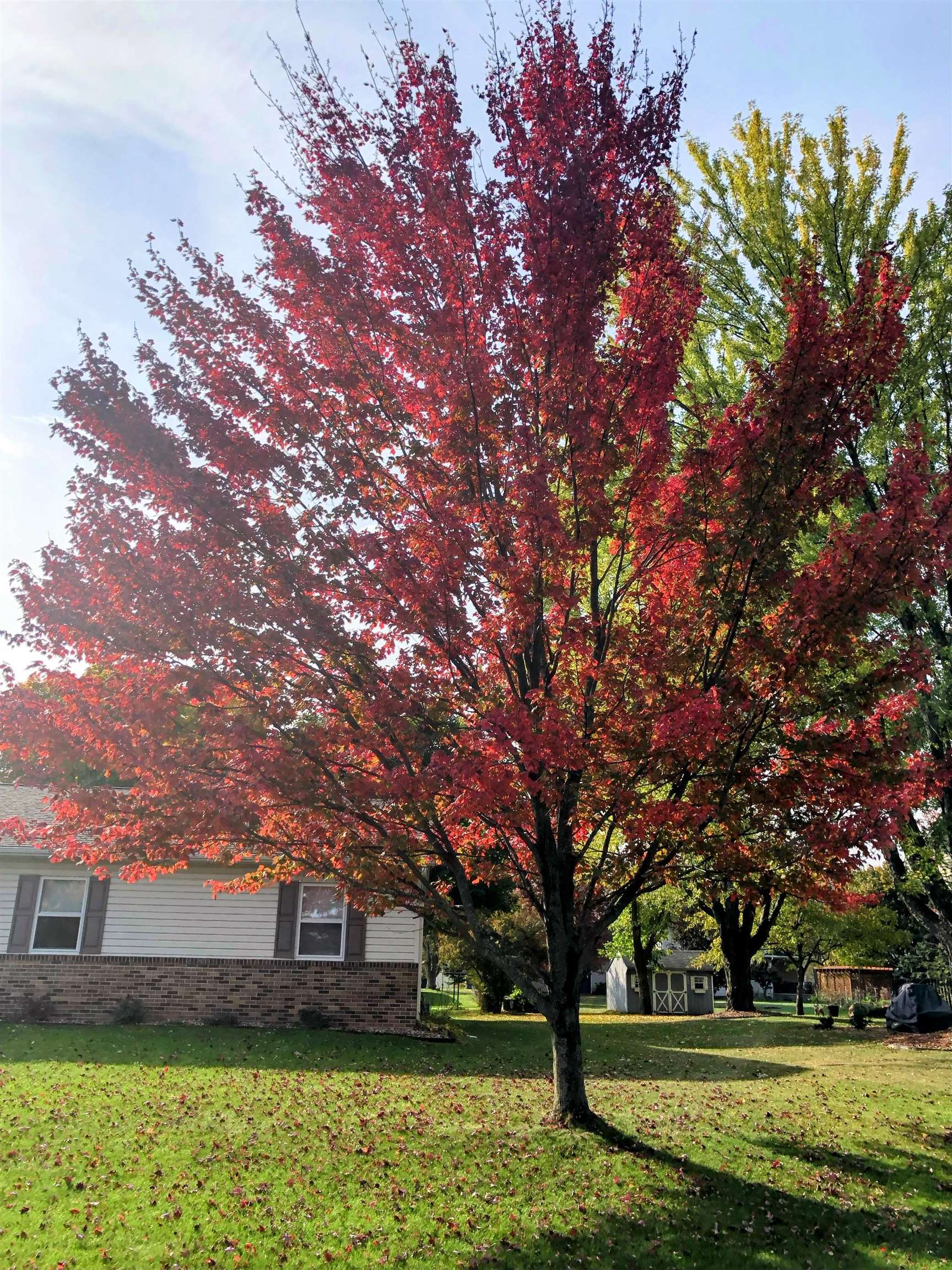 150081 PEREGRINE WAY, Wausau, Wisconsin 54401, 3 Bedrooms Bedrooms, ,3 BathroomsBathrooms,Residential,For Sale,150081 PEREGRINE WAY,22600231