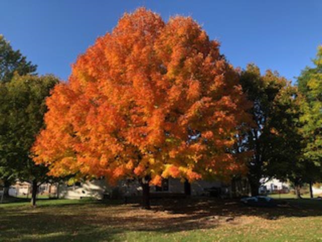 150081 PEREGRINE WAY, Wausau, Wisconsin 54401, 3 Bedrooms Bedrooms, ,3 BathroomsBathrooms,Residential,For Sale,150081 PEREGRINE WAY,22600231