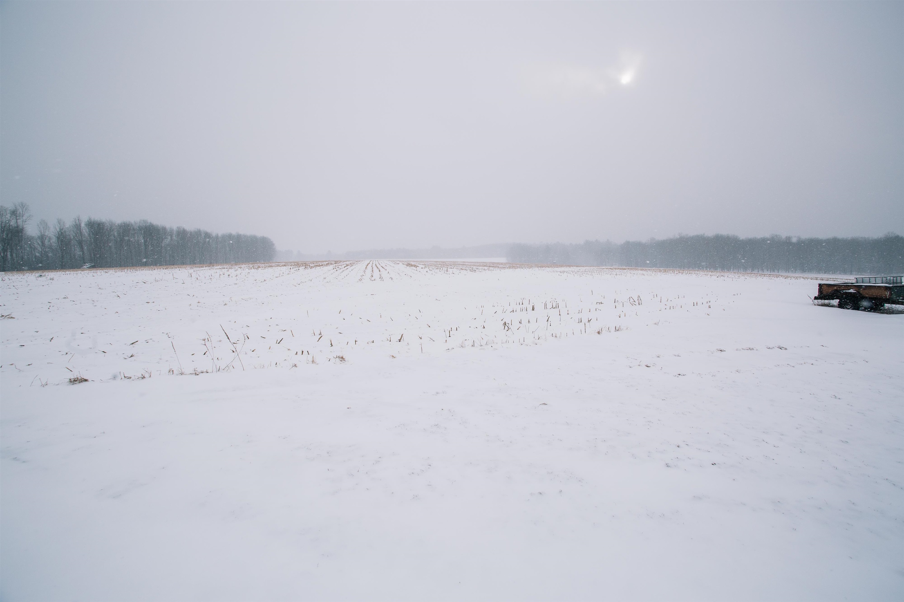 W9037 COUNTY ROAD I, Willard, Wisconsin 54493, 3 Bedrooms Bedrooms, ,1 BathroomBathrooms,Residential,For Sale,W9037 COUNTY ROAD I,22600240