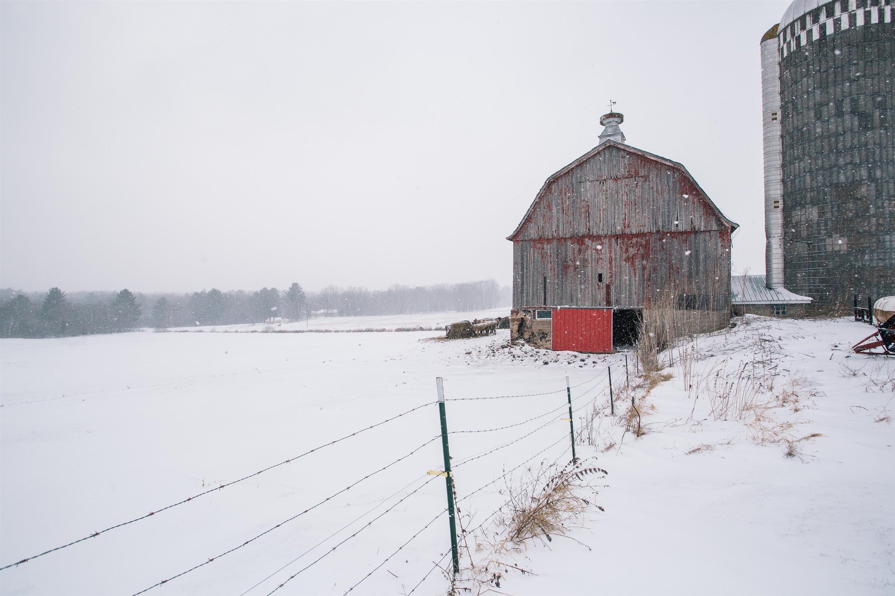 W9037 COUNTY ROAD I, Willard, Wisconsin 54493, 3 Bedrooms Bedrooms, ,1 BathroomBathrooms,Residential,For Sale,W9037 COUNTY ROAD I,22600240