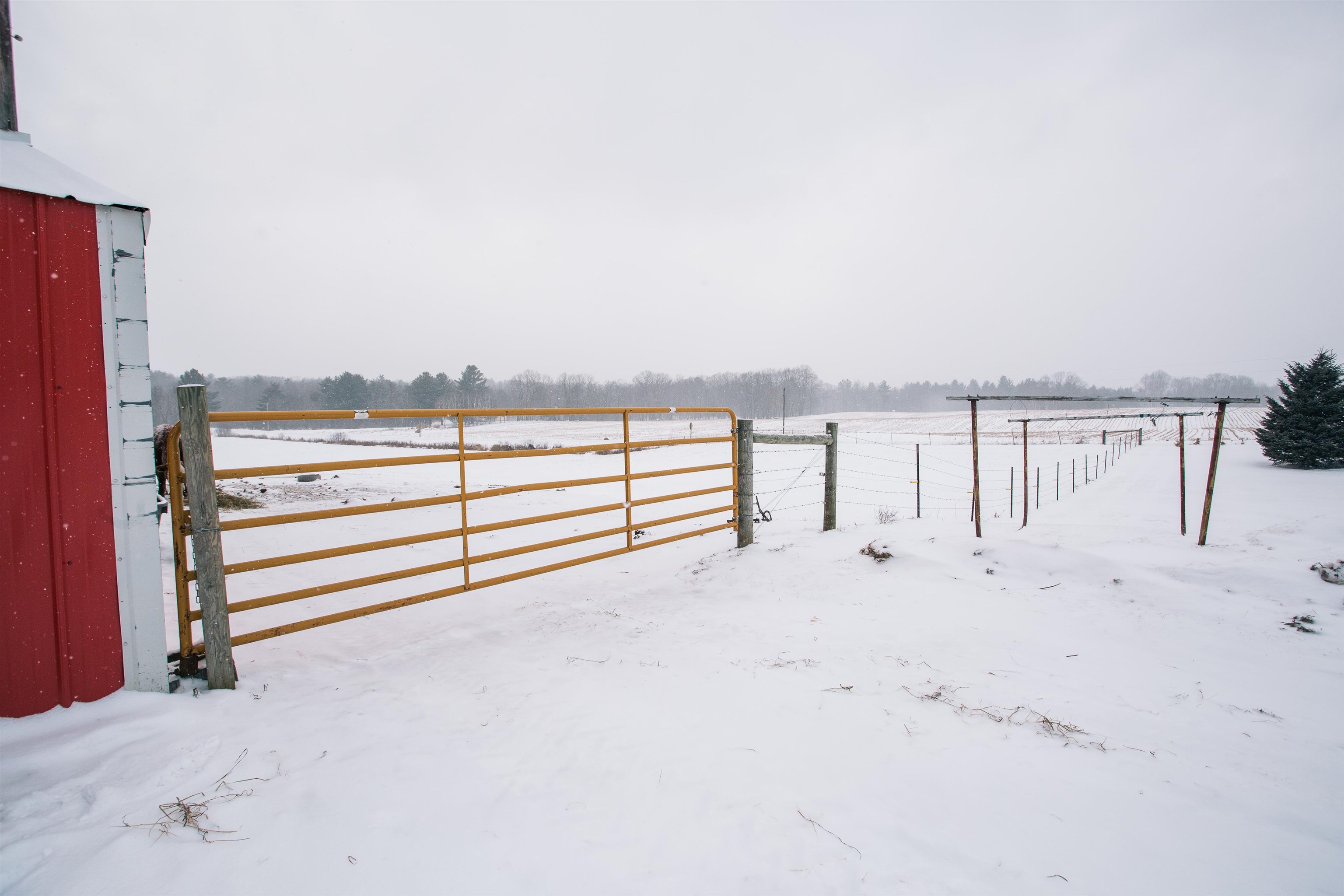 W9037 COUNTY ROAD I, Willard, Wisconsin 54493, 3 Bedrooms Bedrooms, ,1 BathroomBathrooms,Residential,For Sale,W9037 COUNTY ROAD I,22600240