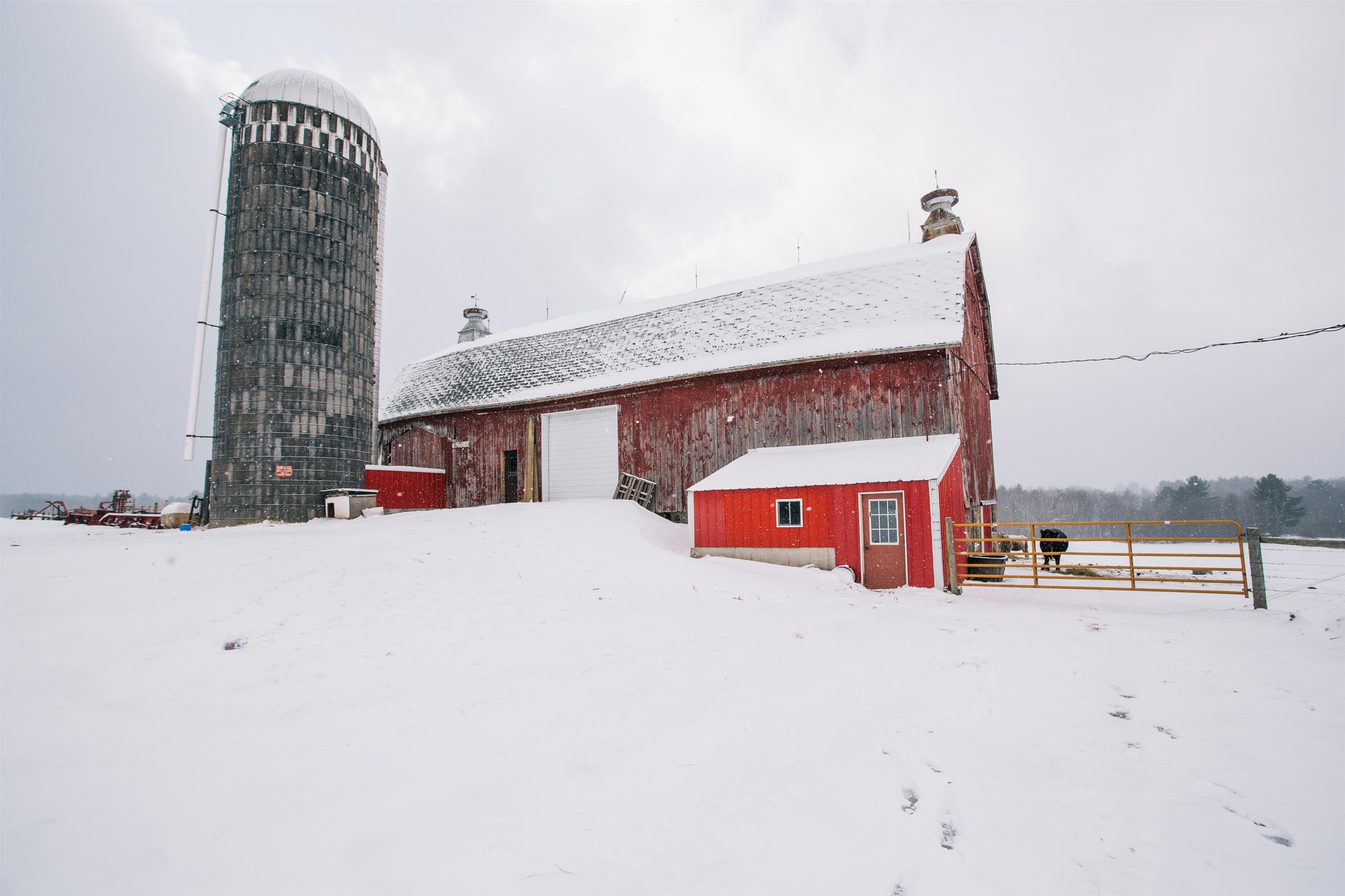 W9037 COUNTY ROAD I, Willard, Wisconsin 54493, 3 Bedrooms Bedrooms, ,1 BathroomBathrooms,Residential,For Sale,W9037 COUNTY ROAD I,22600240