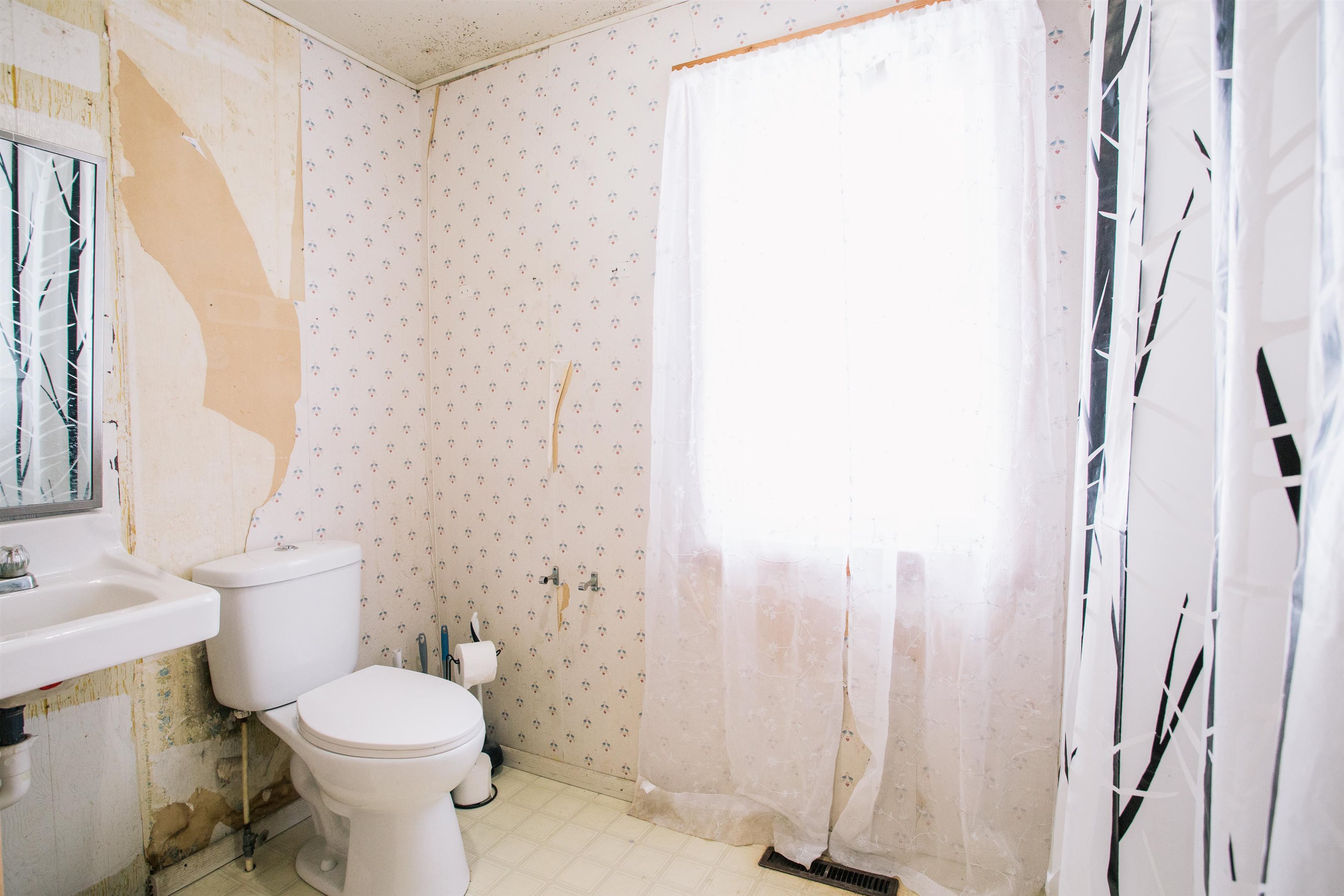 W9037 COUNTY ROAD I, Willard, Wisconsin 54493, 3 Bedrooms Bedrooms, ,1 BathroomBathrooms,Residential,For Sale,W9037 COUNTY ROAD I,22600240