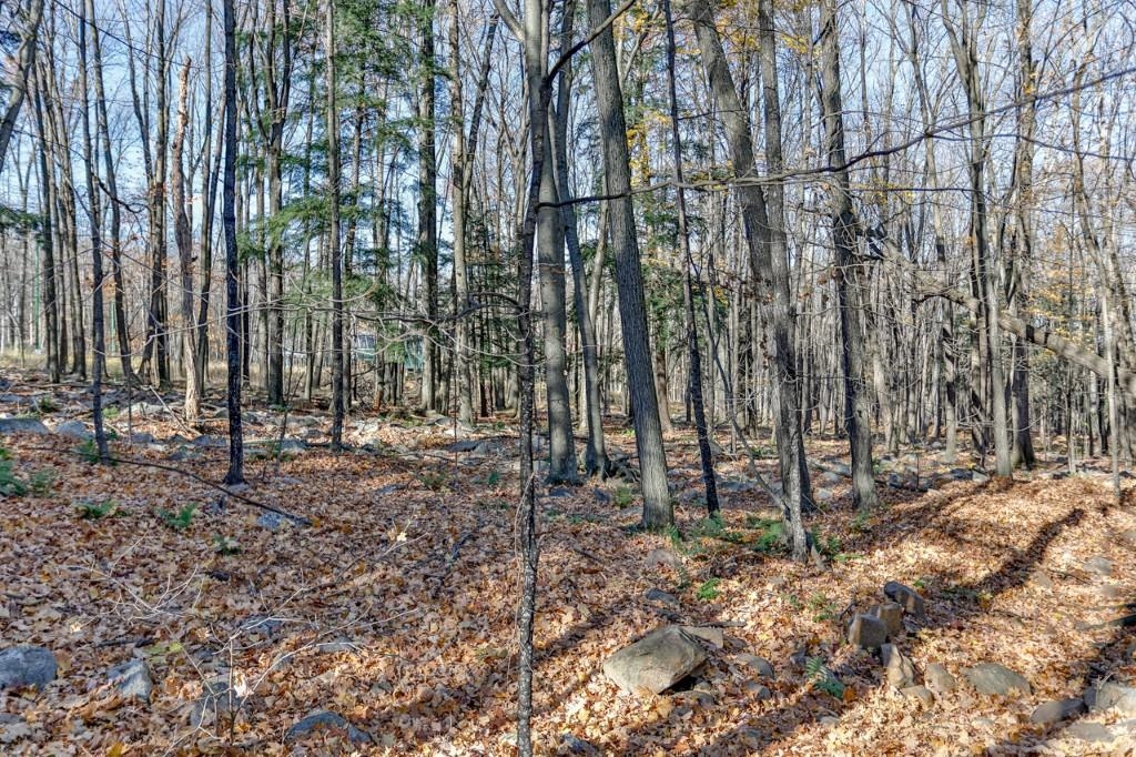 227238 CLIFFSIDE COURT, Wausau, Wisconsin 54401, 3 Bedrooms Bedrooms, ,2 BathroomsBathrooms,Residential,For Sale,227238 CLIFFSIDE COURT,22600272