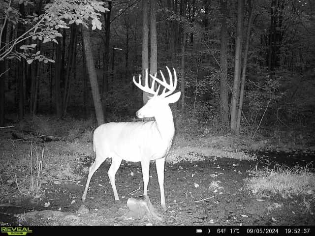 239095 DAWSON ROAD, Athens, Wisconsin 54411, ,Land,For Sale,239095 DAWSON ROAD,22600296