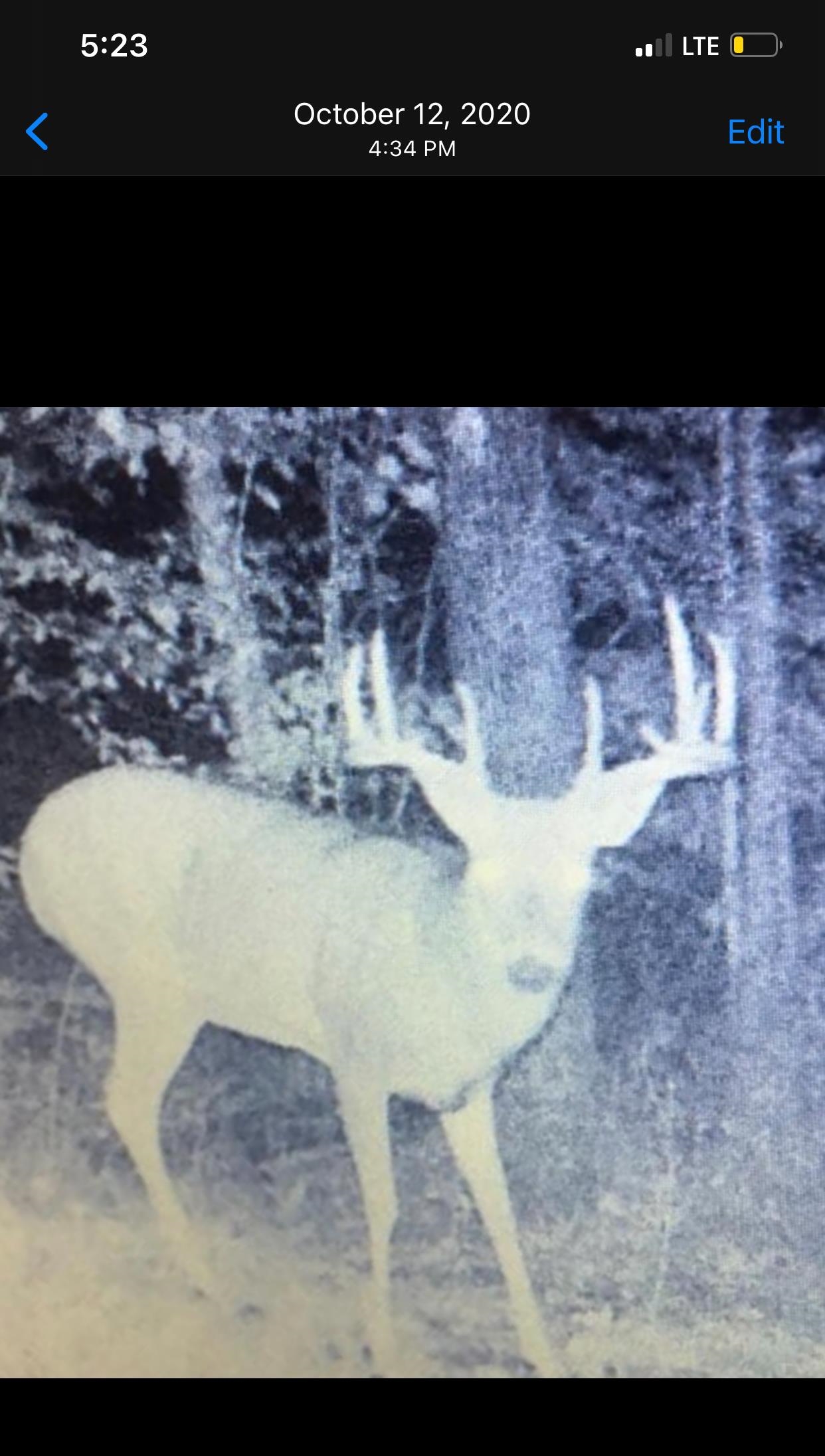 239095 DAWSON ROAD, Athens, Wisconsin 54411, ,Land,For Sale,239095 DAWSON ROAD,22600296