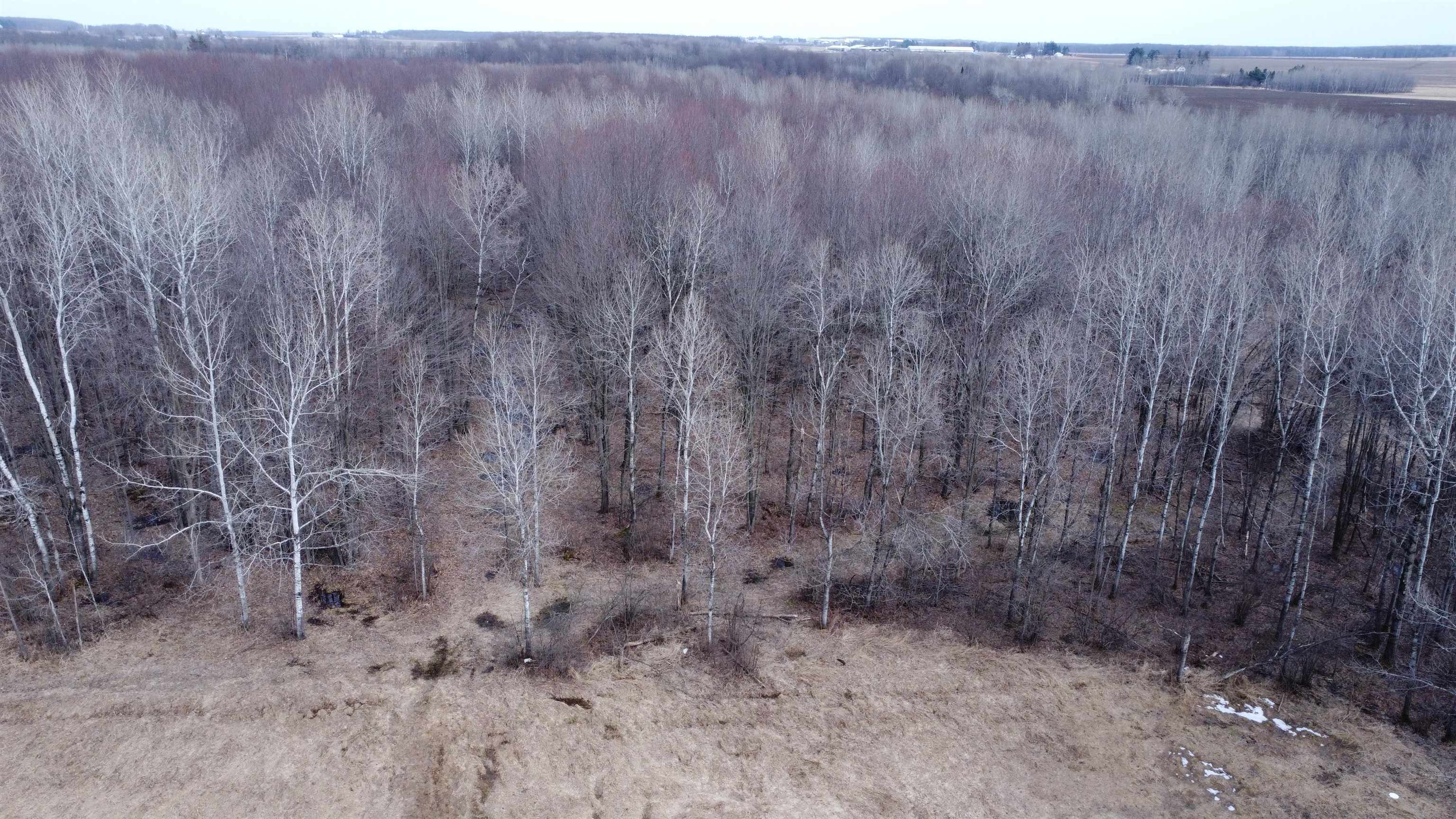 239095 DAWSON ROAD, Athens, Wisconsin 54411, ,Land,For Sale,239095 DAWSON ROAD,22600296