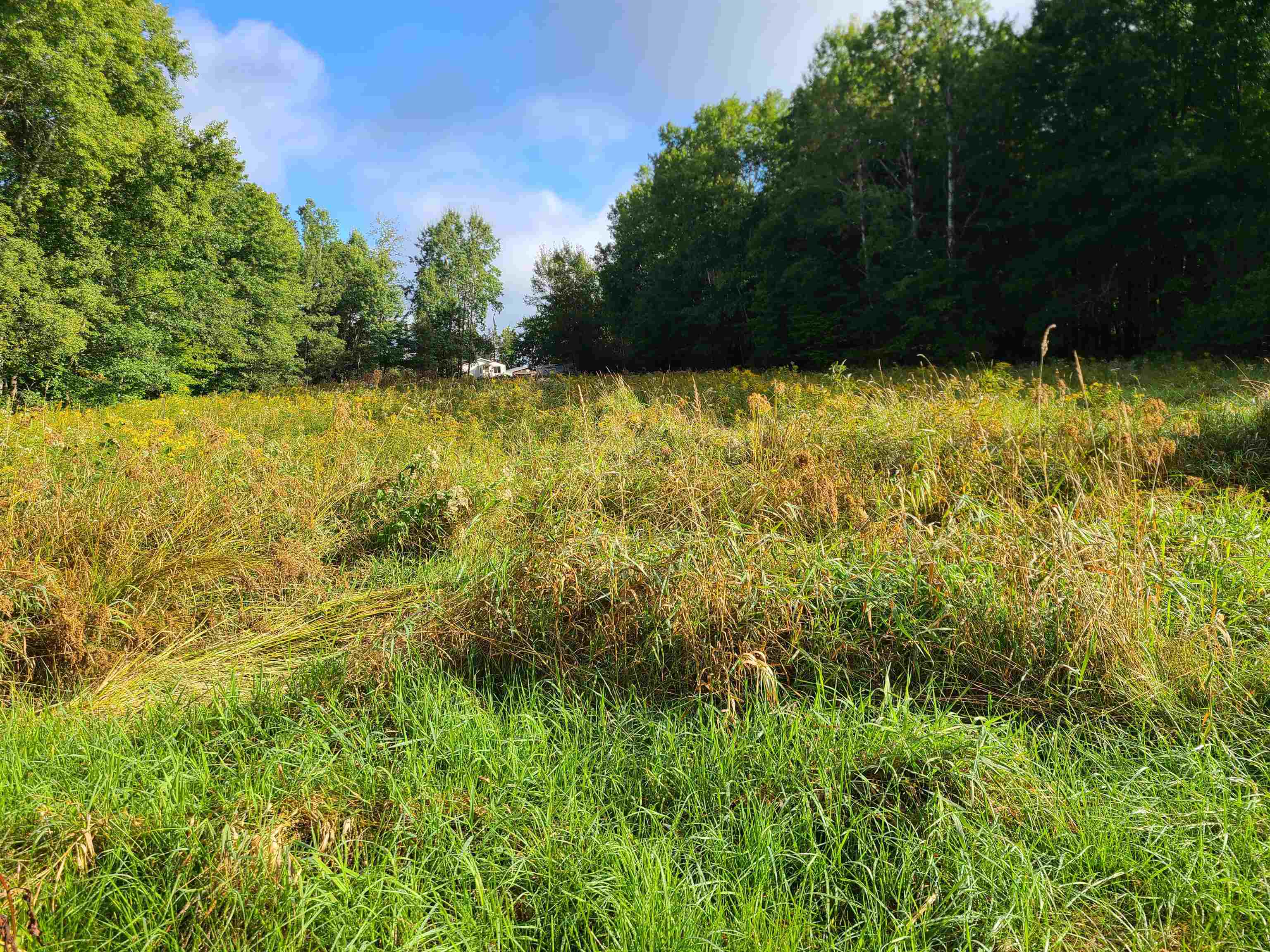 239095 DAWSON ROAD, Athens, Wisconsin 54411, ,Land,For Sale,239095 DAWSON ROAD,22600296