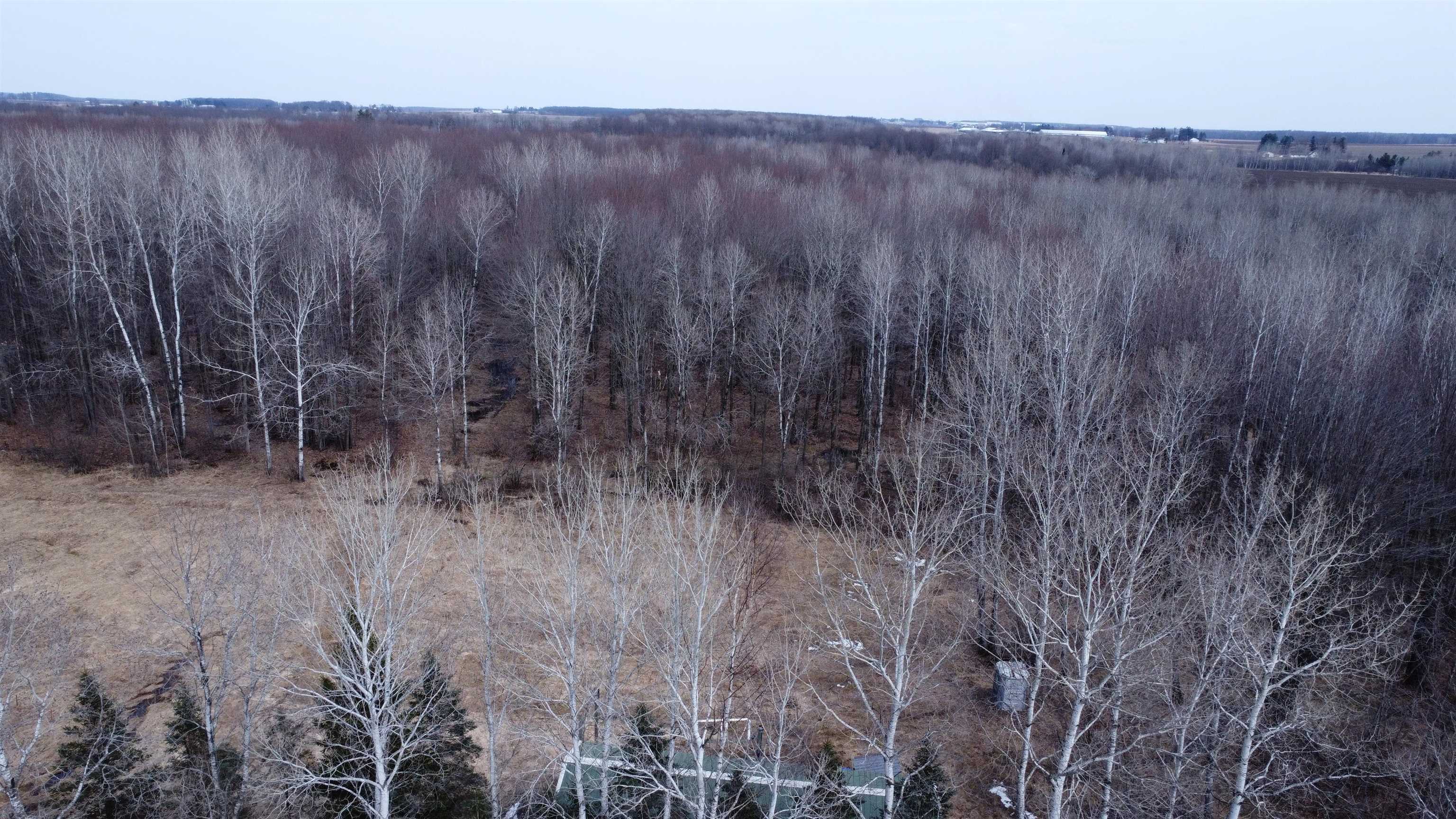 239095 DAWSON ROAD, Athens, Wisconsin 54411, ,Land,For Sale,239095 DAWSON ROAD,22600296