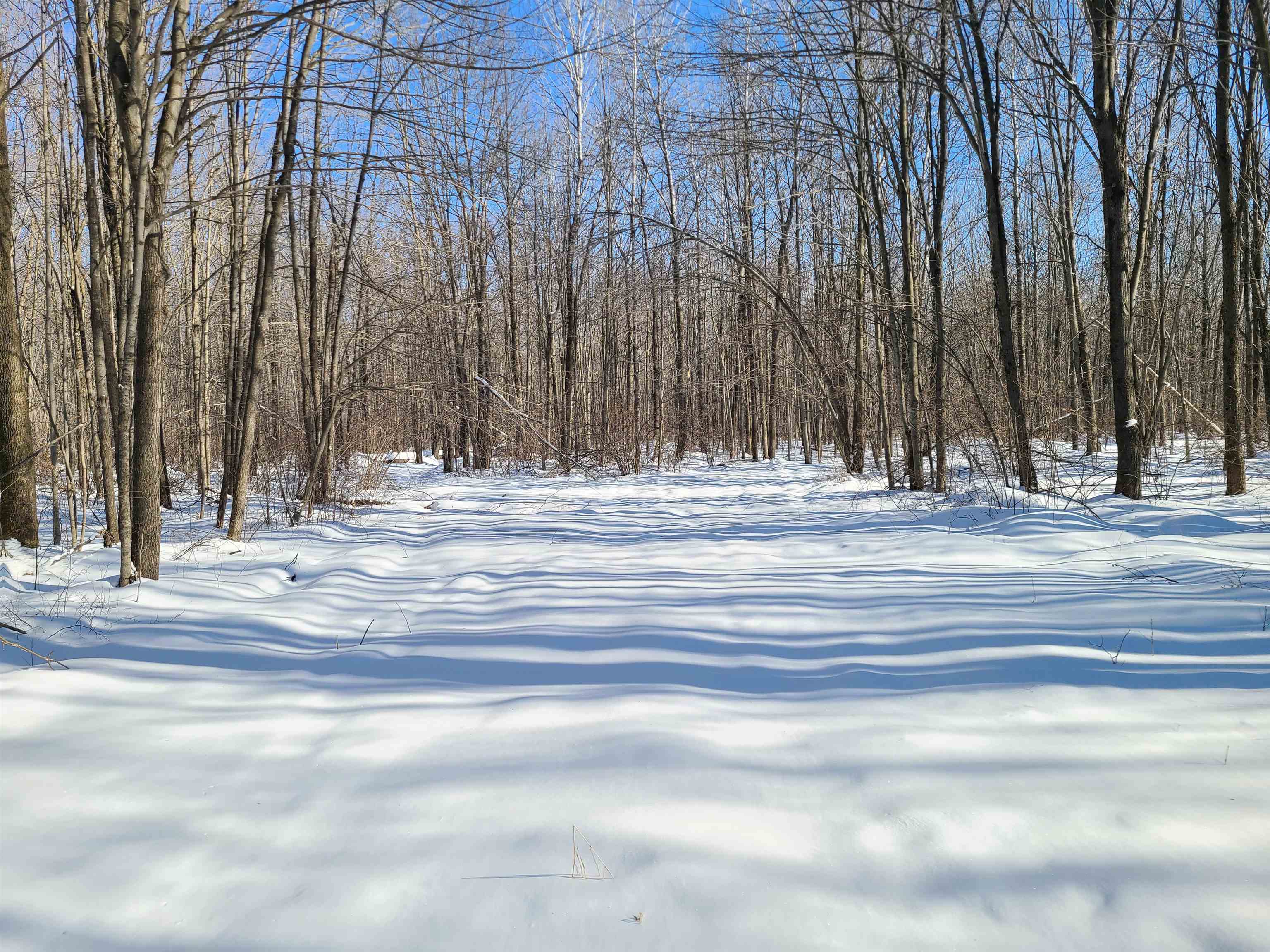 239095 DAWSON ROAD, Athens, Wisconsin 54411, ,Land,For Sale,239095 DAWSON ROAD,22600296