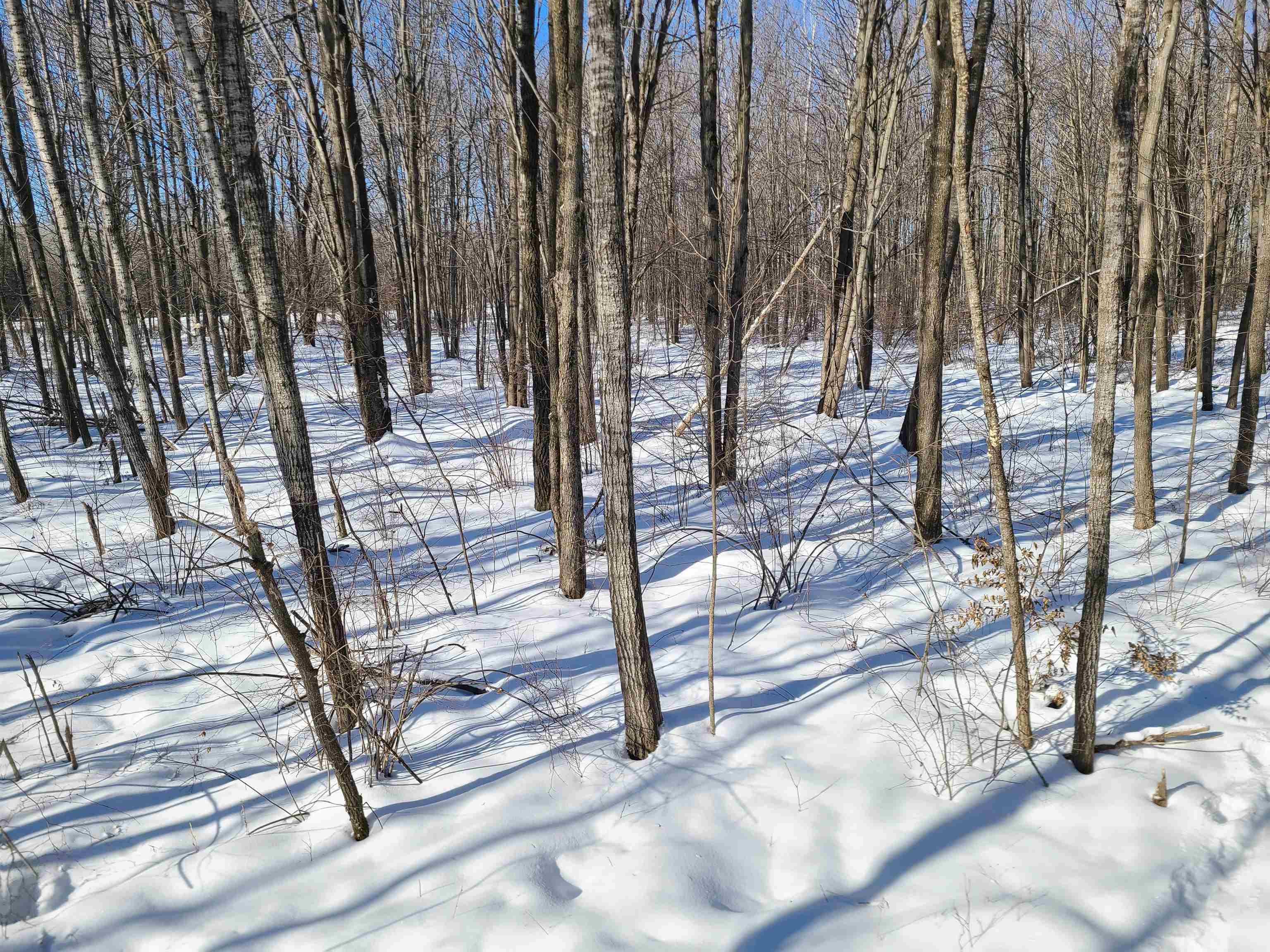 239095 DAWSON ROAD, Athens, Wisconsin 54411, ,Land,For Sale,239095 DAWSON ROAD,22600296