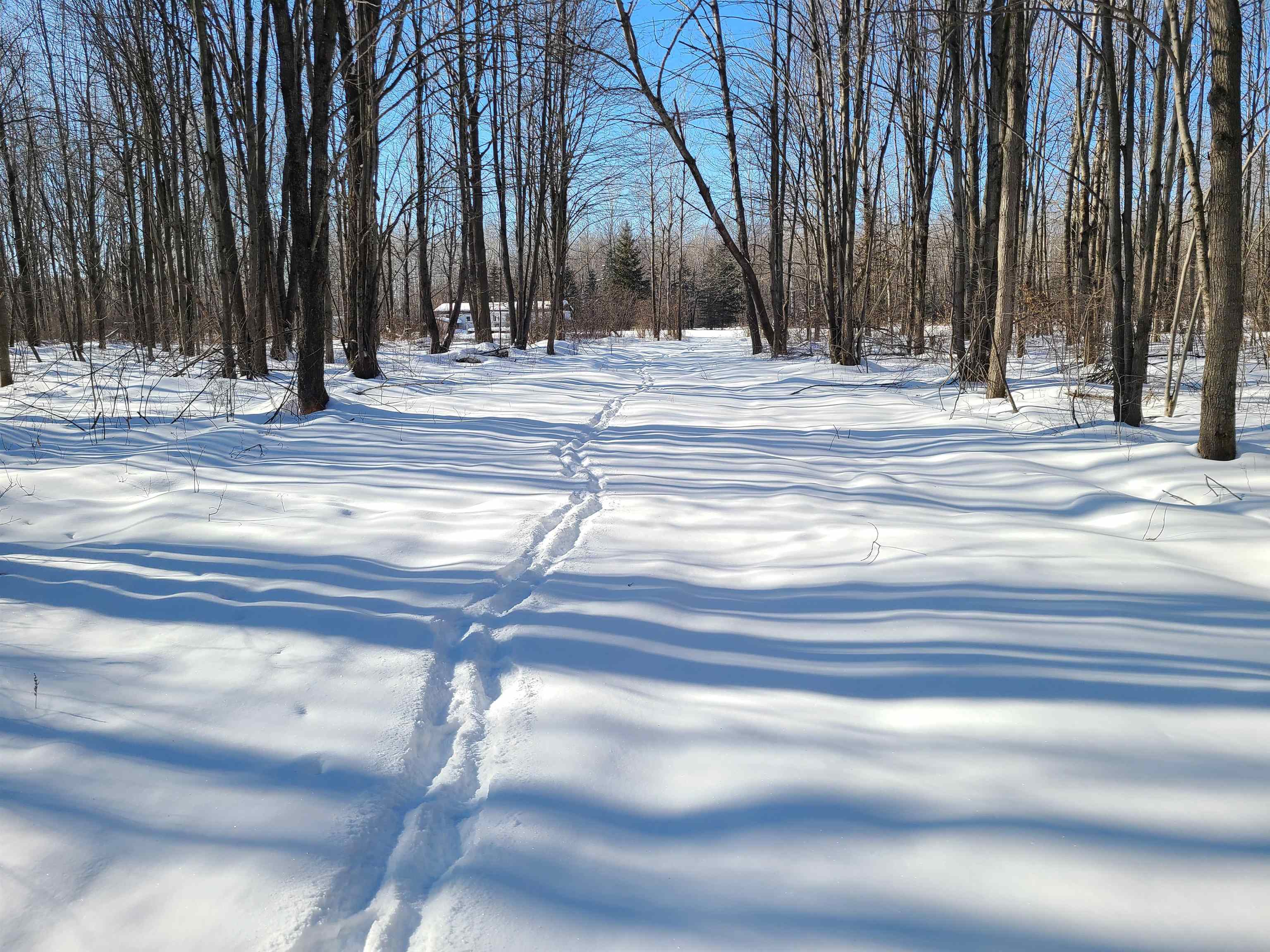 239095 DAWSON ROAD, Athens, Wisconsin 54411, ,Land,For Sale,239095 DAWSON ROAD,22600296