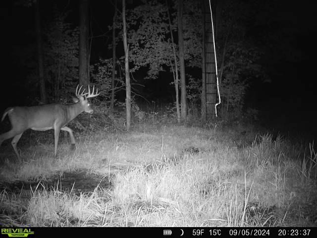 239095 DAWSON ROAD, Athens, Wisconsin 54411, ,Land,For Sale,239095 DAWSON ROAD,22600296