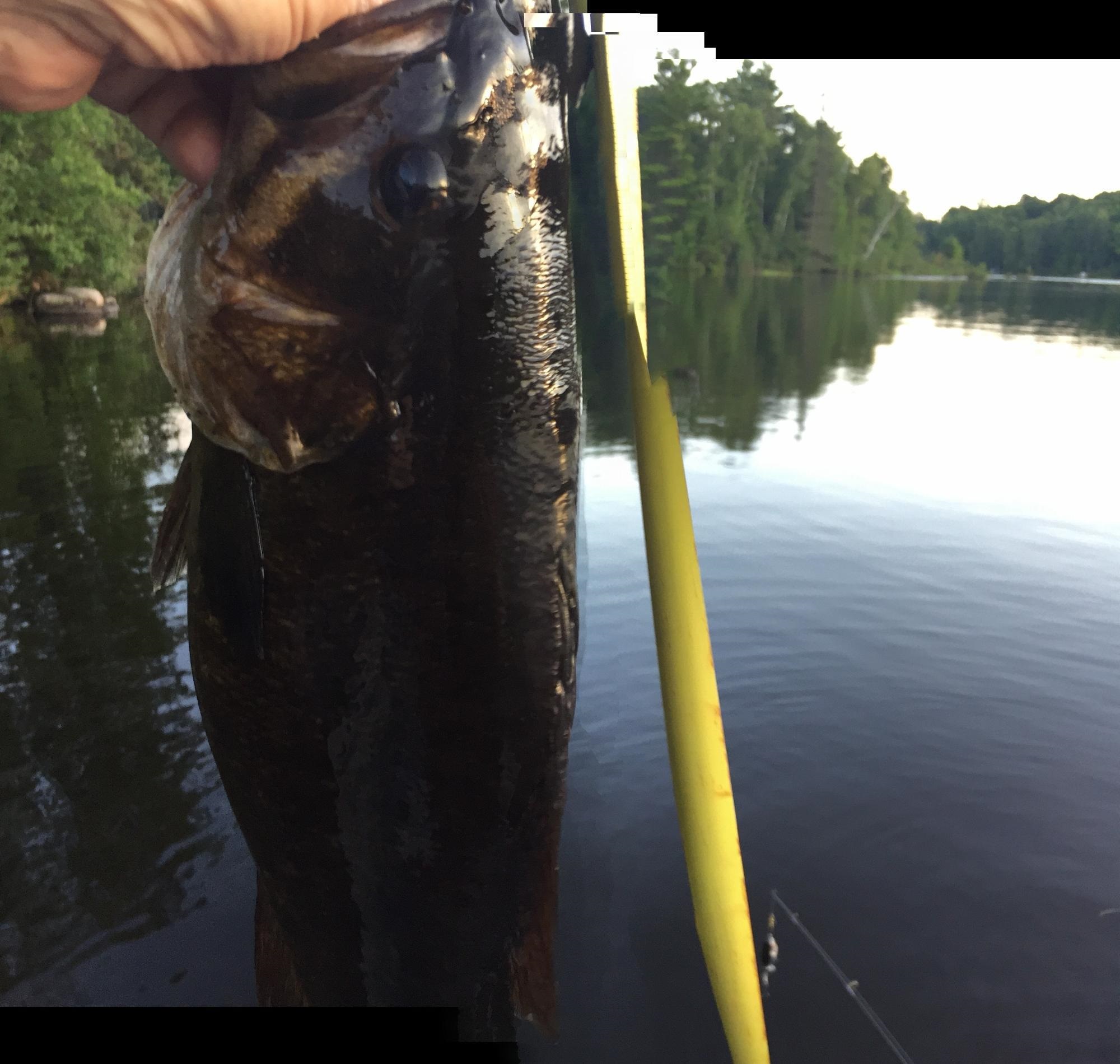 N13755 CROWLEY SHORES ROAD, Park Falls, Wisconsin 54552, 2 Bedrooms Bedrooms, ,3 BathroomsBathrooms,Residential,For Sale,N13755 CROWLEY SHORES ROAD,22600322