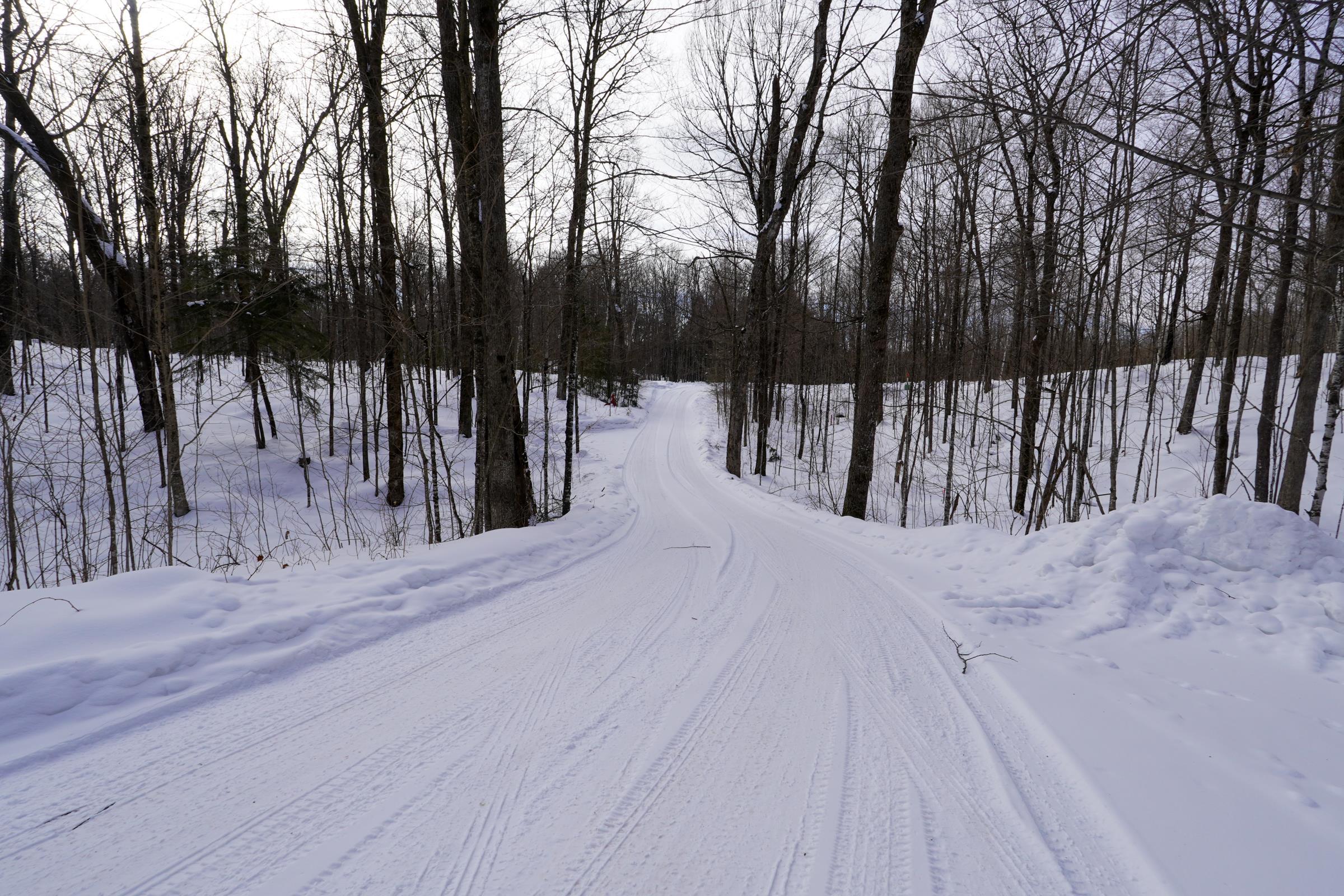 N292 LAMER DRIVE, Ogema, Wisconsin 54459, 2 Bedrooms Bedrooms, ,3 BathroomsBathrooms,Residential,For Sale,N292 LAMER DRIVE,22600326