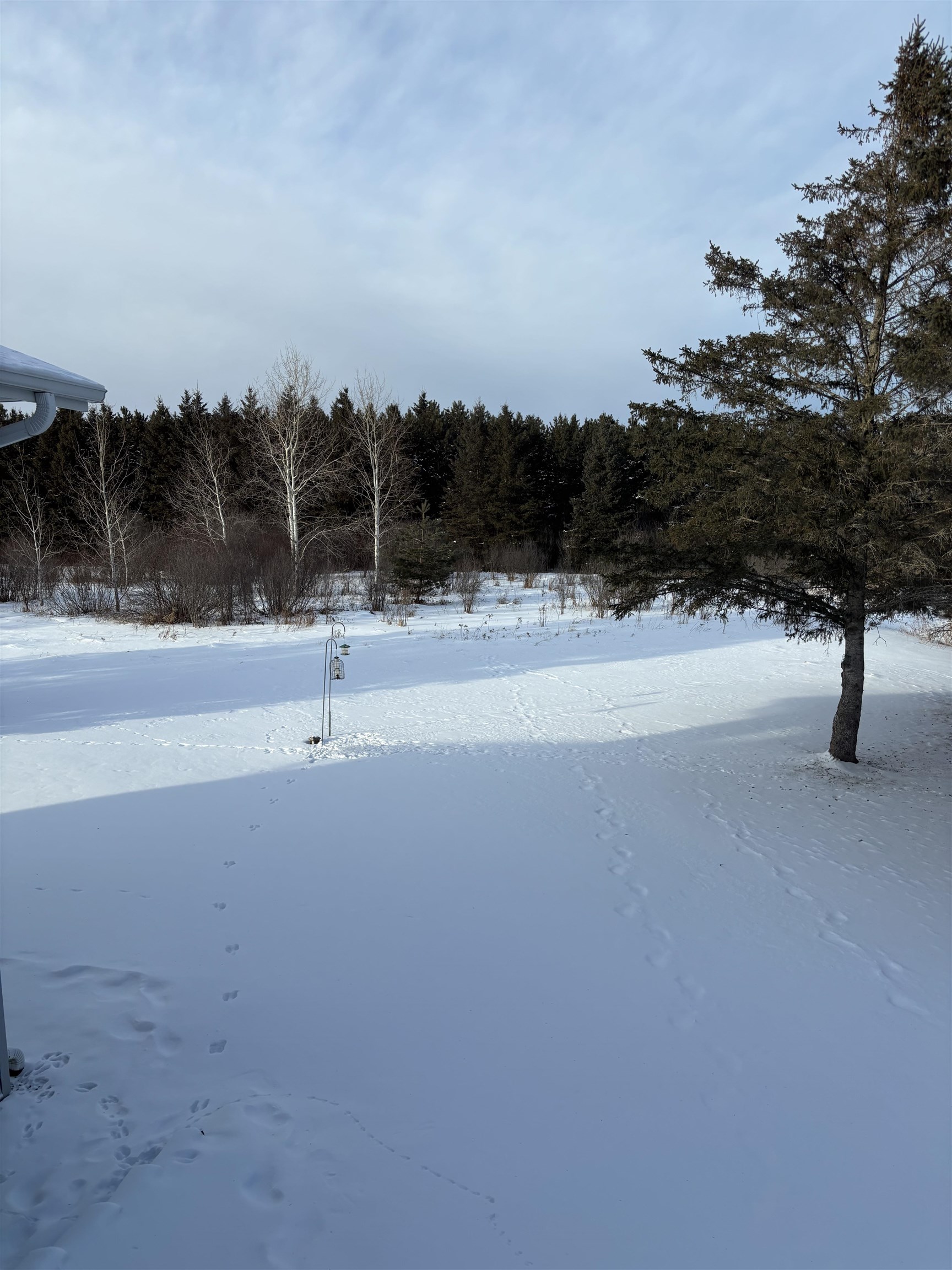 W4836 COUNTY ROAD Q, Merrill, Wisconsin 54452, 2 Bedrooms Bedrooms, ,2 BathroomsBathrooms,Residential,For Sale,W4836 COUNTY ROAD Q,22600338