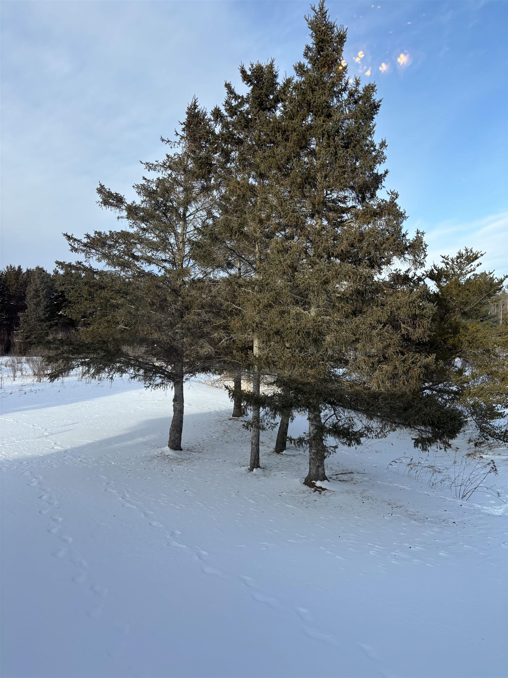 W4836 COUNTY ROAD Q, Merrill, Wisconsin 54452, 2 Bedrooms Bedrooms, ,2 BathroomsBathrooms,Residential,For Sale,W4836 COUNTY ROAD Q,22600338