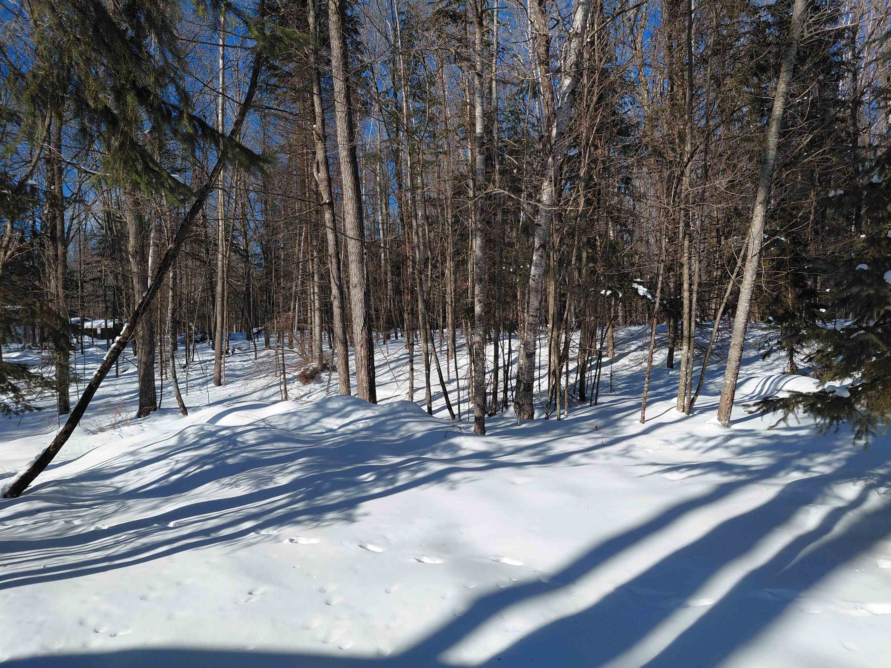 216 S SHORE ROAD, Pickerel, Wisconsin 54465, ,Commercial/industrial,For Sale,216 S SHORE ROAD,22600345