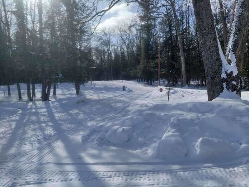 216 S SHORE ROAD, Pickerel, Wisconsin 54465, ,Commercial/industrial,For Sale,216 S SHORE ROAD,22600345