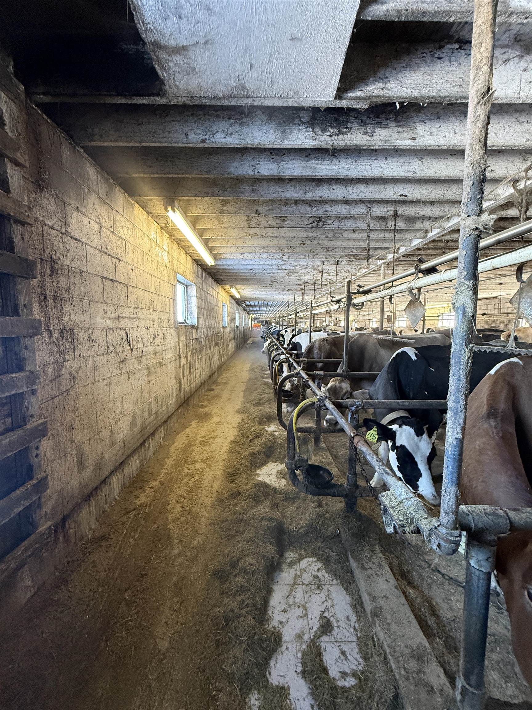 108120 WUERTZBERG ROAD, Abbotsford, Wisconsin 54405, 4 Bedrooms Bedrooms, ,2 BathroomsBathrooms,Farm/agriculture,For Sale,108120 WUERTZBERG ROAD,22600346