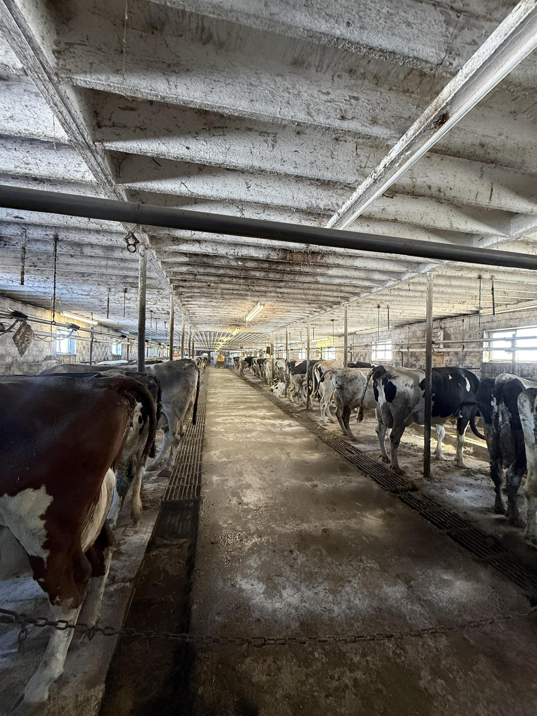 108120 WUERTZBERG ROAD, Abbotsford, Wisconsin 54405, 4 Bedrooms Bedrooms, ,2 BathroomsBathrooms,Residential,For Sale,108120 WUERTZBERG ROAD,22600349