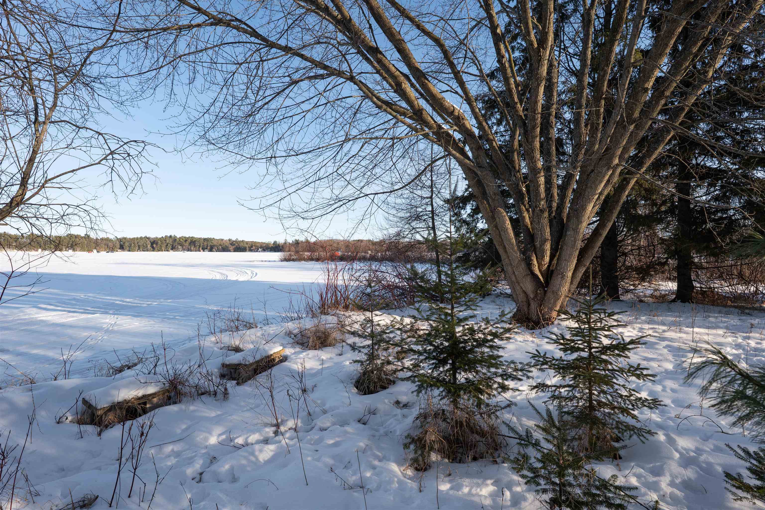 1.08 Acres LOON BAY LANE, Hatley, Wisconsin 54440, ,Land,For Sale,1.08 Acres LOON BAY LANE,22600351
