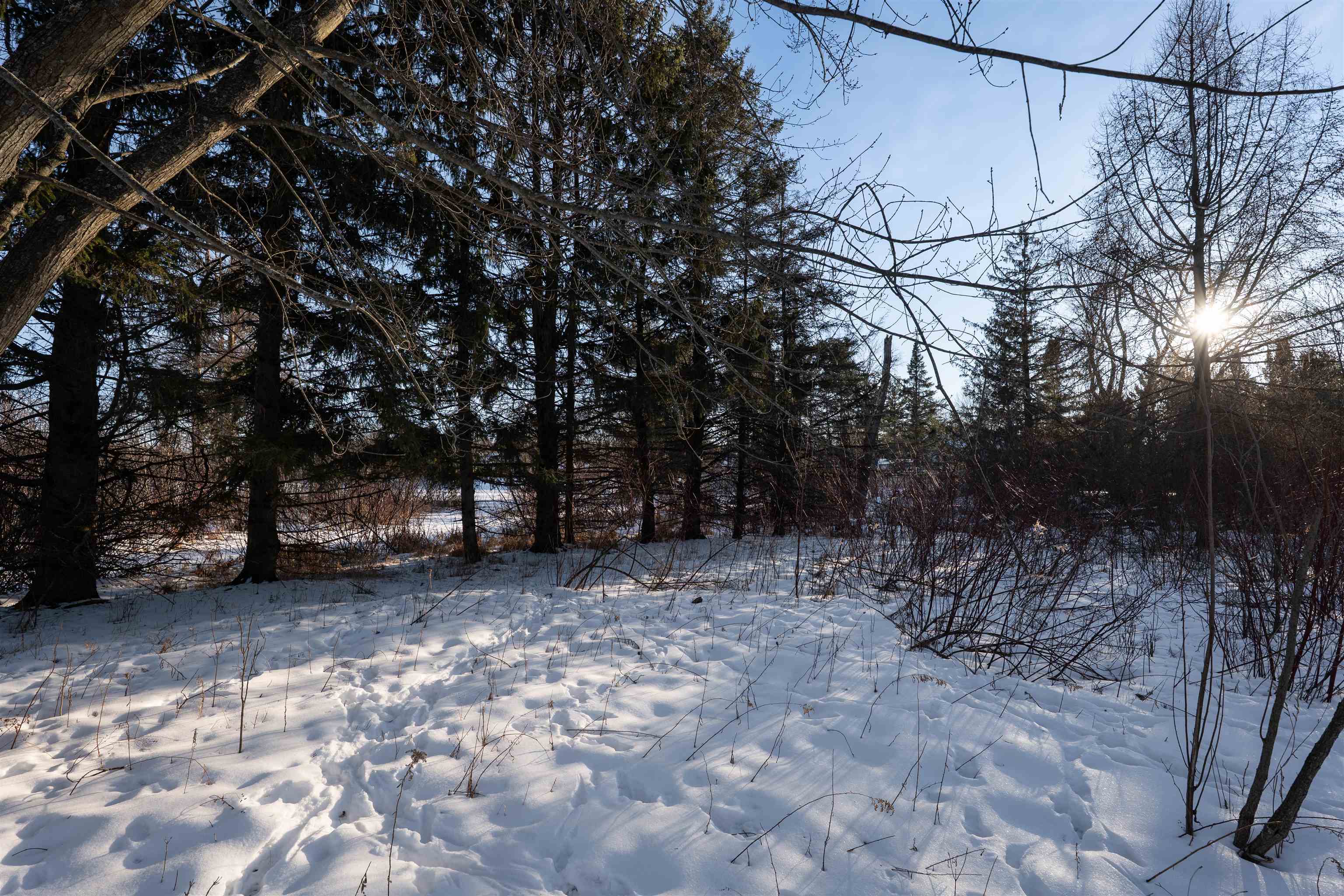 1.08 Acres LOON BAY LANE, Hatley, Wisconsin 54440, ,Land,For Sale,1.08 Acres LOON BAY LANE,22600351