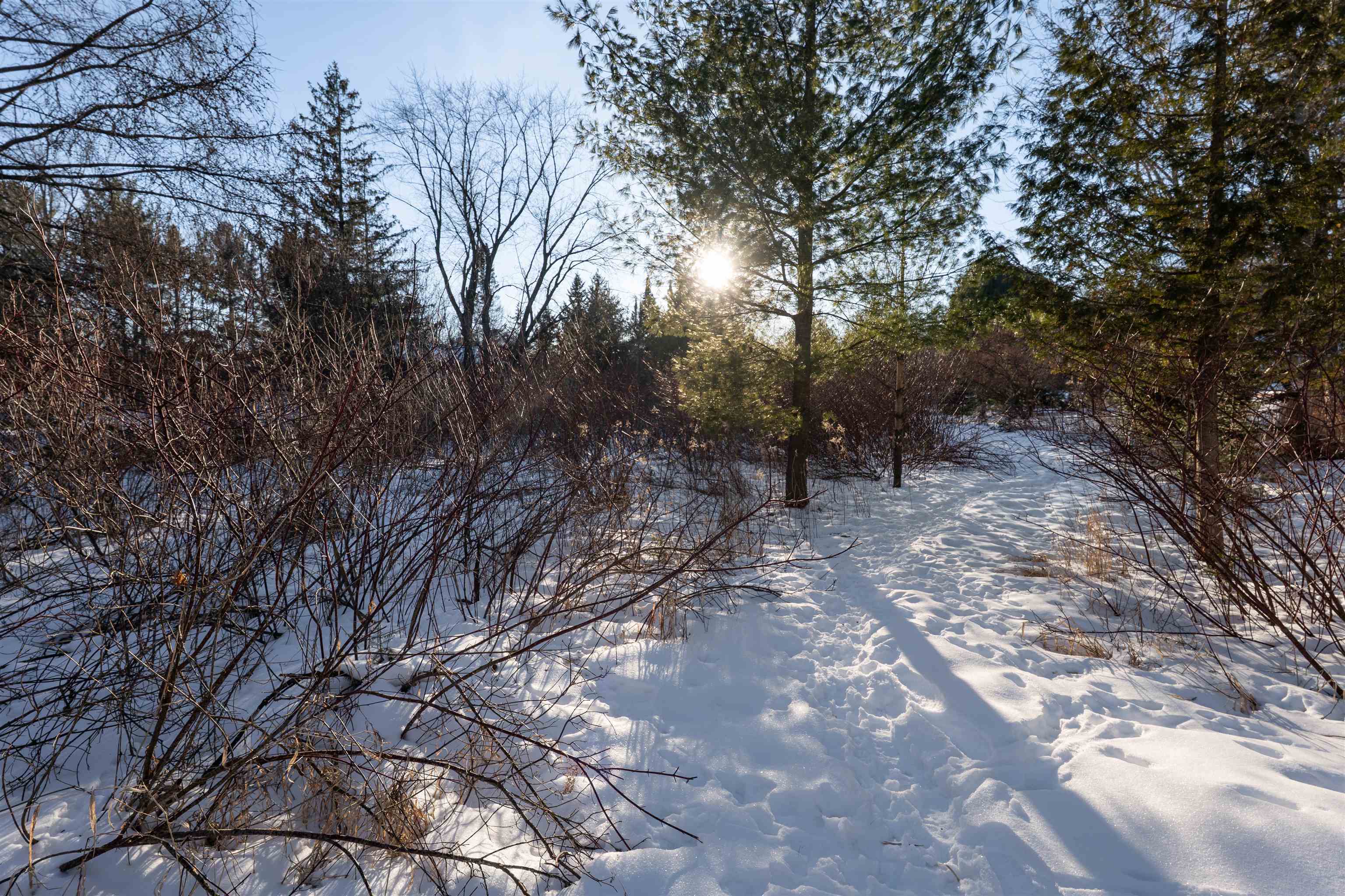 1.08 Acres LOON BAY LANE, Hatley, Wisconsin 54440, ,Land,For Sale,1.08 Acres LOON BAY LANE,22600351