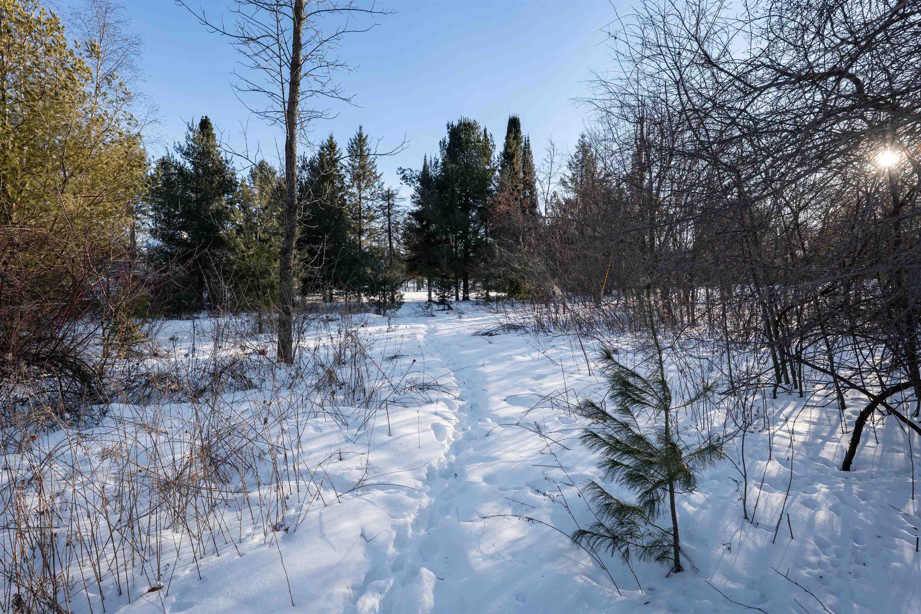 1.08 Acres LOON BAY LANE, Hatley, Wisconsin 54440, ,Land,For Sale,1.08 Acres LOON BAY LANE,22600351