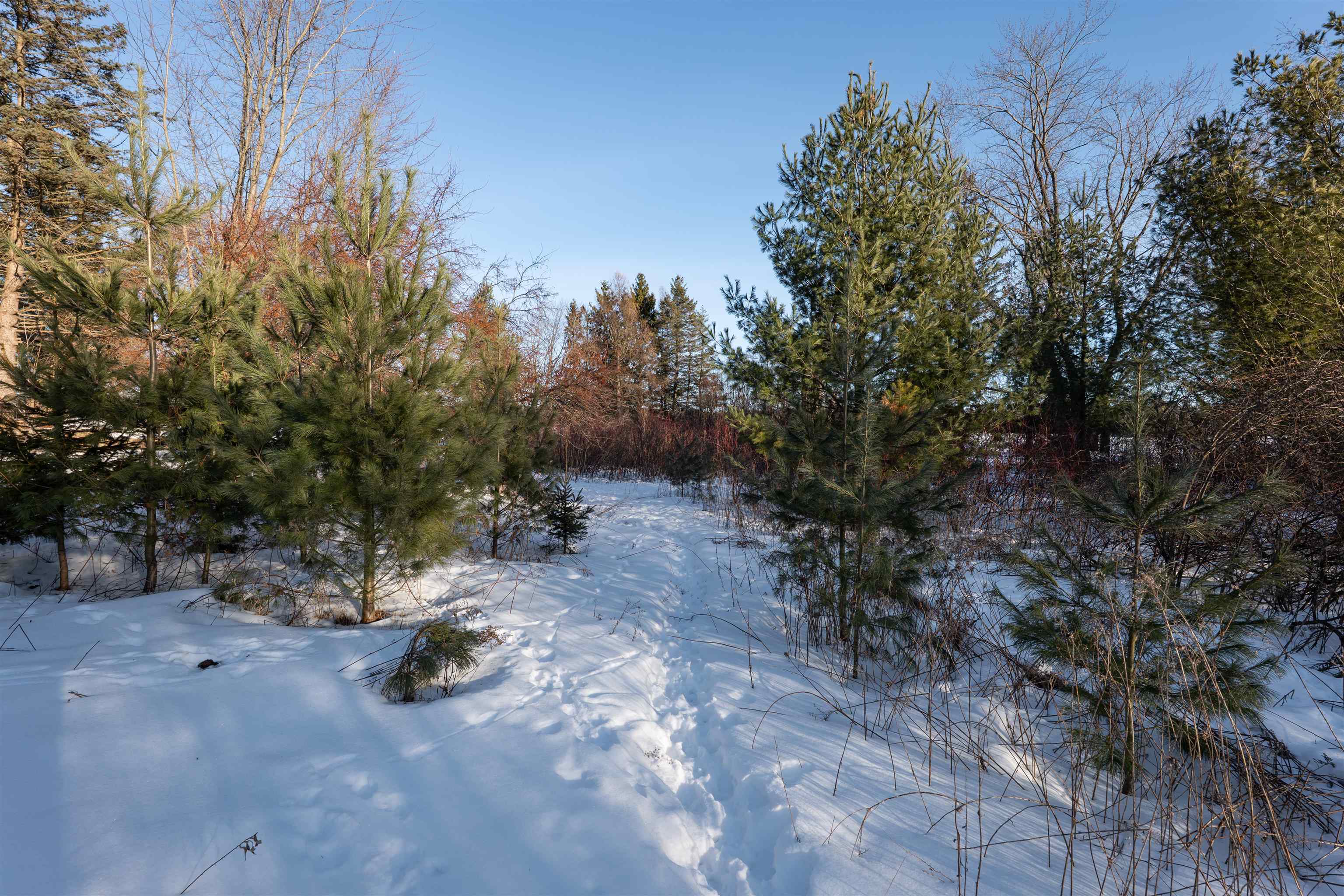 1.08 Acres LOON BAY LANE, Hatley, Wisconsin 54440, ,Land,For Sale,1.08 Acres LOON BAY LANE,22600351