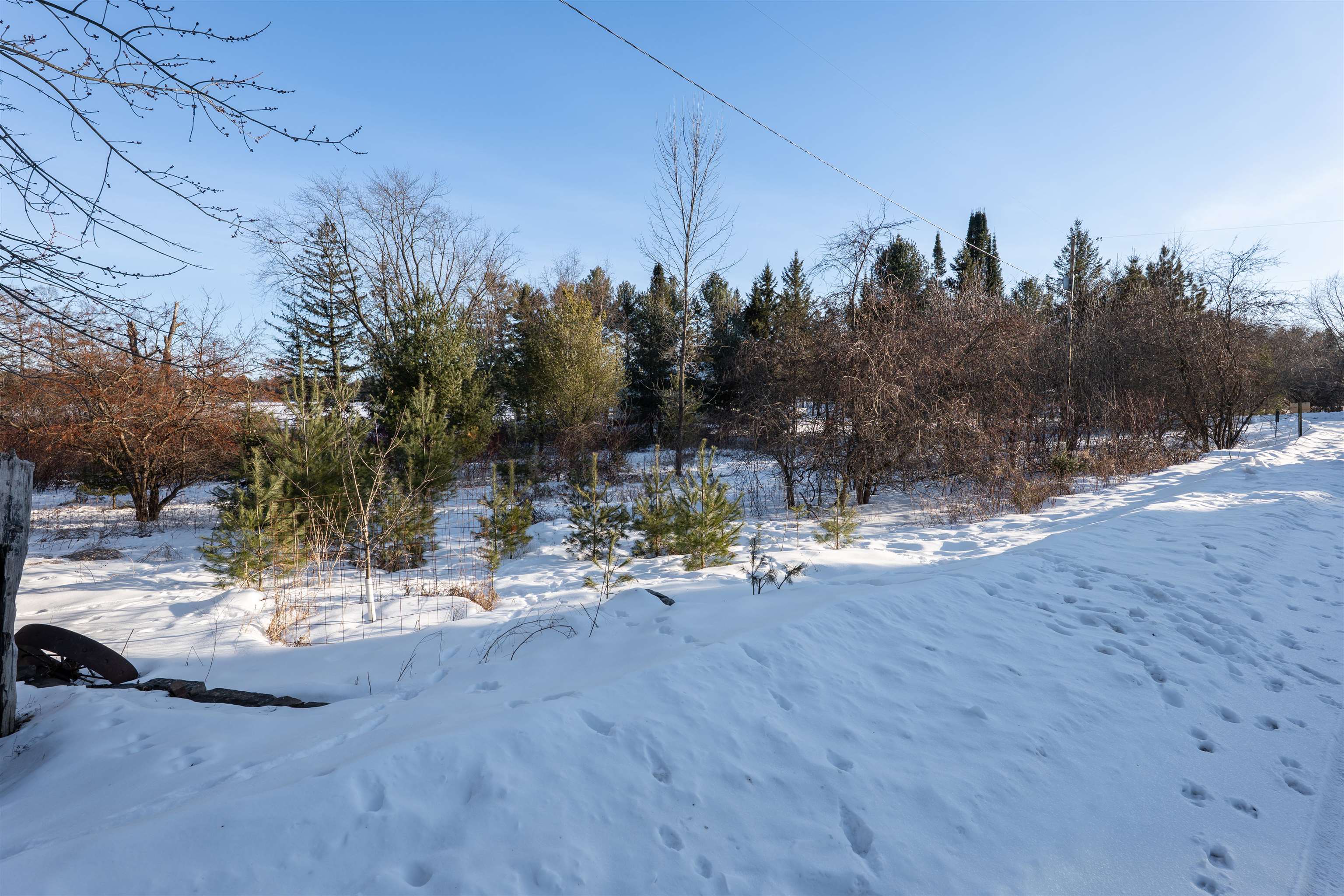 1.08 Acres LOON BAY LANE, Hatley, Wisconsin 54440, ,Land,For Sale,1.08 Acres LOON BAY LANE,22600351