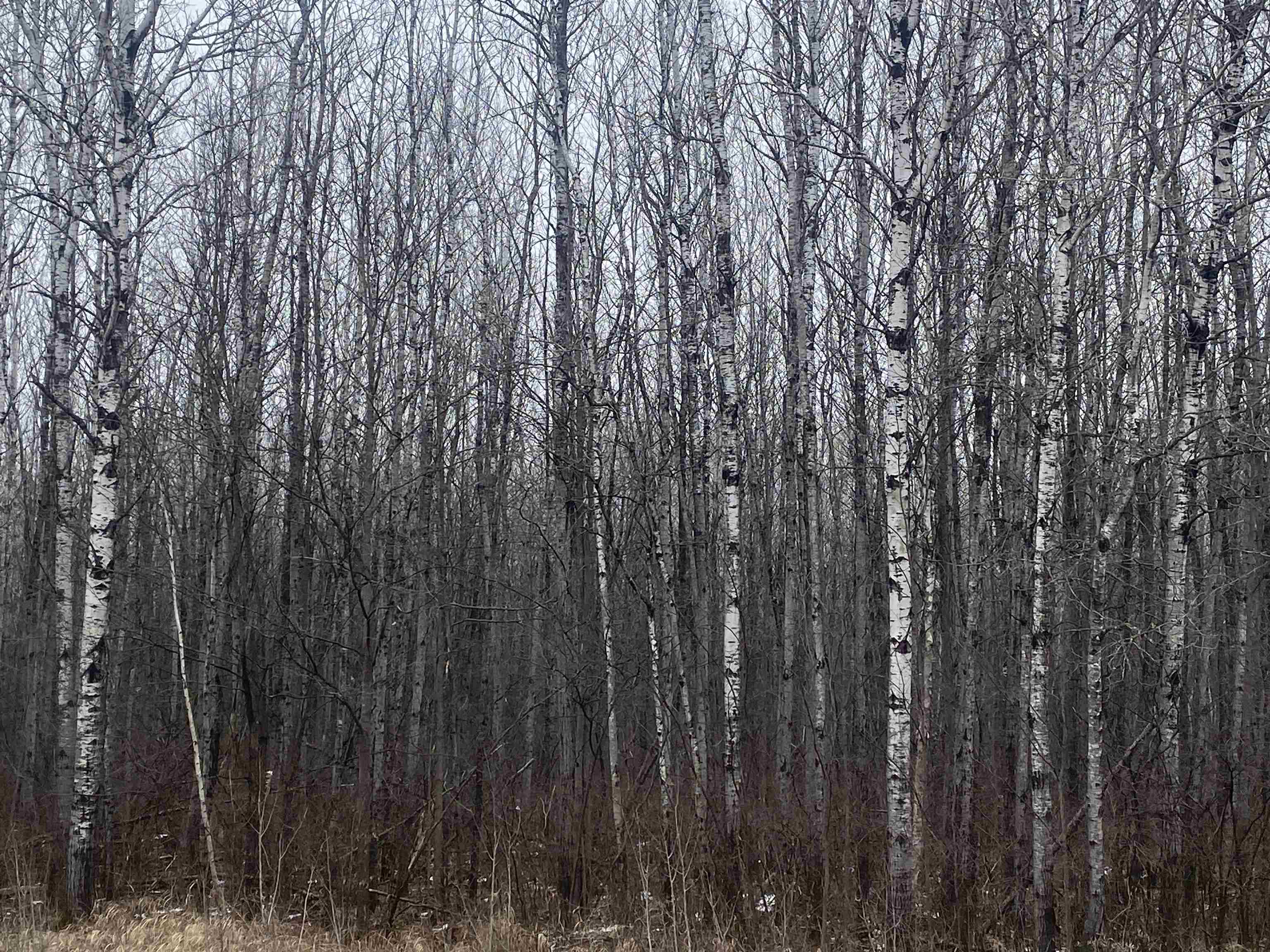 ON COUNTY ROAD E, Tomahawk, Wisconsin 54487, ,Land,For Sale,ON COUNTY ROAD E,22600359