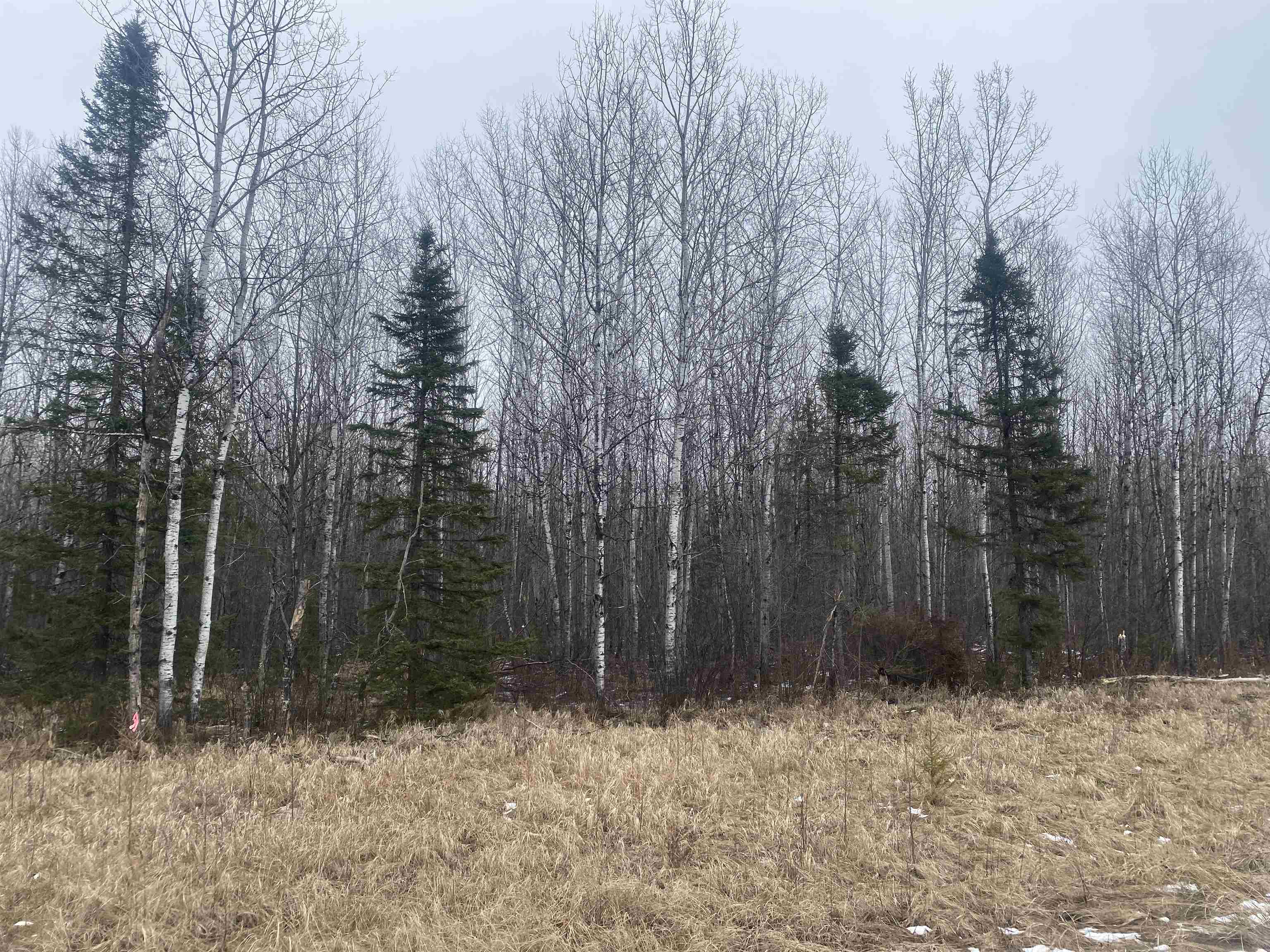 ON COUNTY ROAD E, Tomahawk, Wisconsin 54487, ,Land,For Sale,ON COUNTY ROAD E,22600359