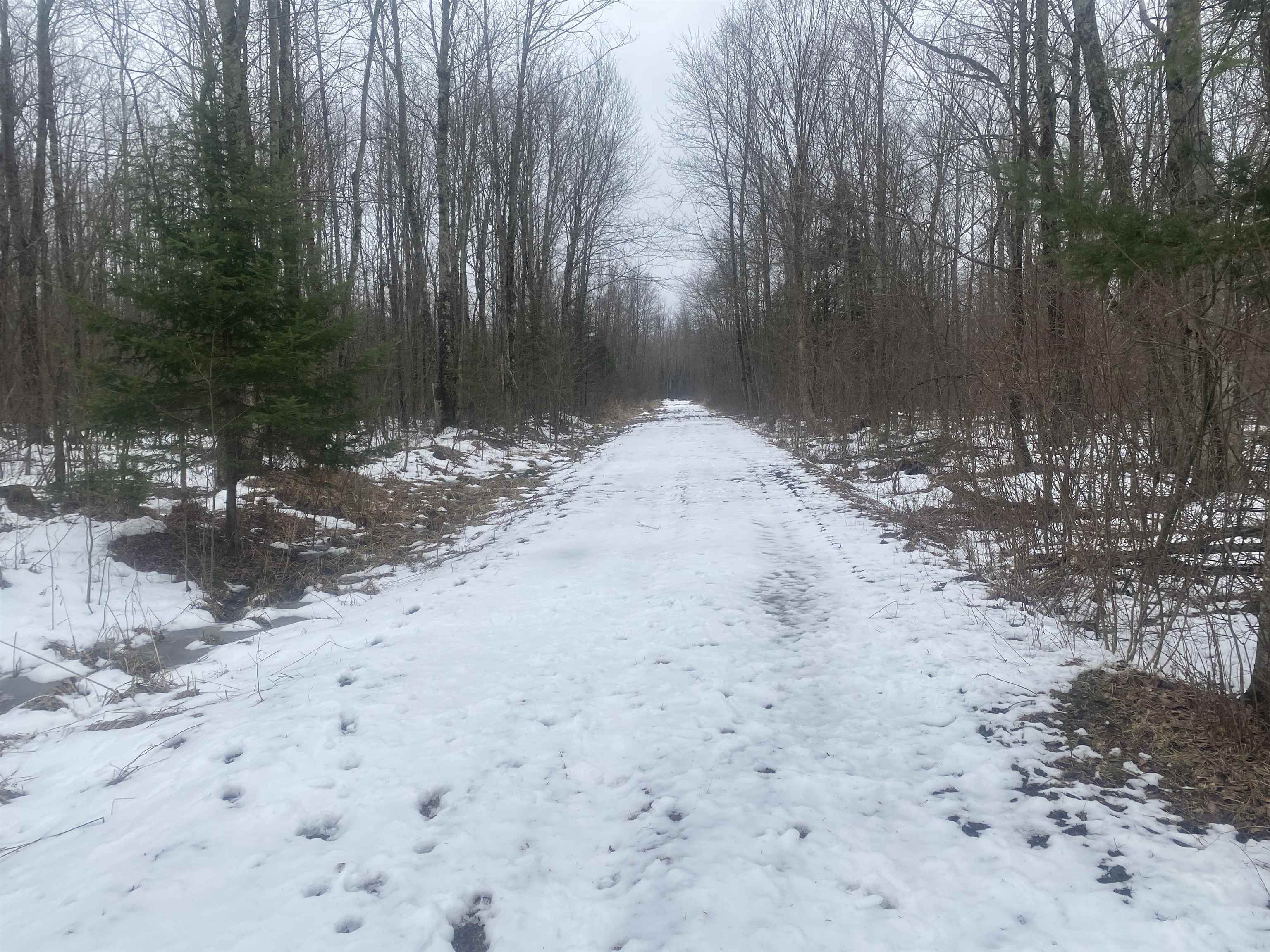 NEAR SPRING BROOK AVENUE, Merrill, Wisconsin 54452, ,Land,For Sale,NEAR SPRING BROOK AVENUE,22600361