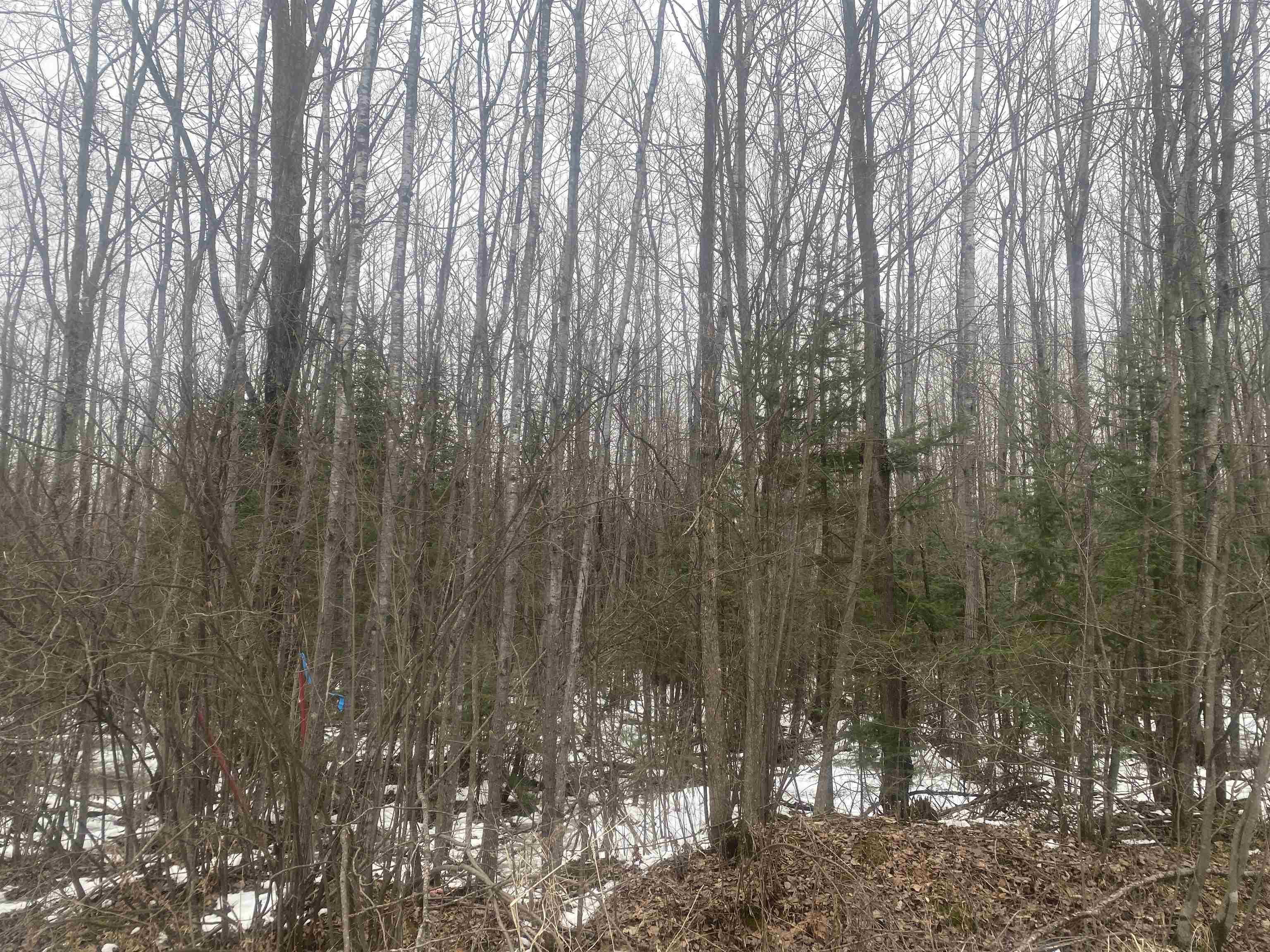 NEAR SPRING BROOK AVENUE, Merrill, Wisconsin 54452, ,Land,For Sale,NEAR SPRING BROOK AVENUE,22600361