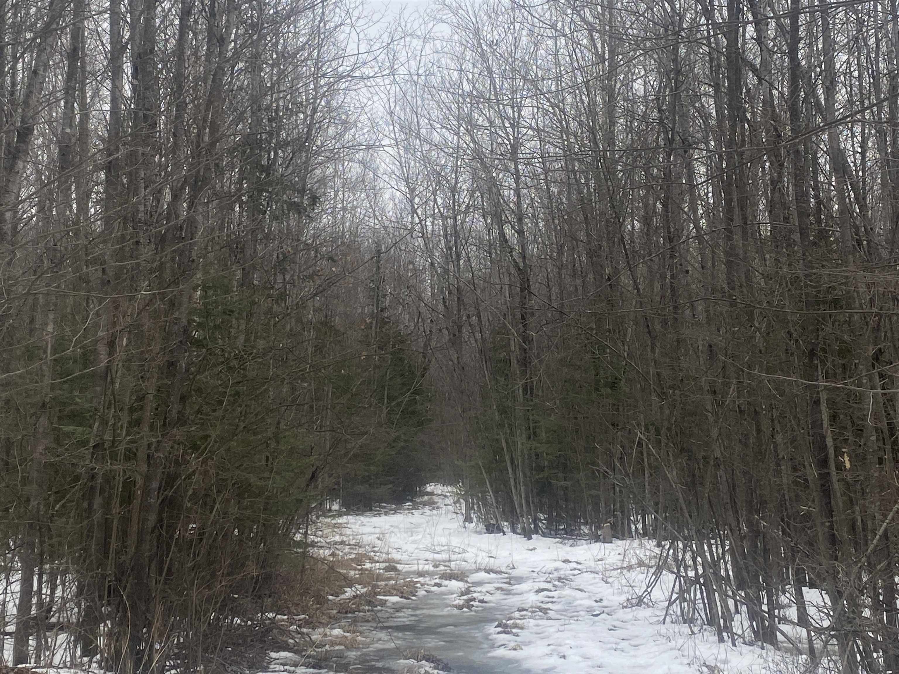 NEAR SPRING BROOK AVENUE, Merrill, Wisconsin 54452, ,Land,For Sale,NEAR SPRING BROOK AVENUE,22600361